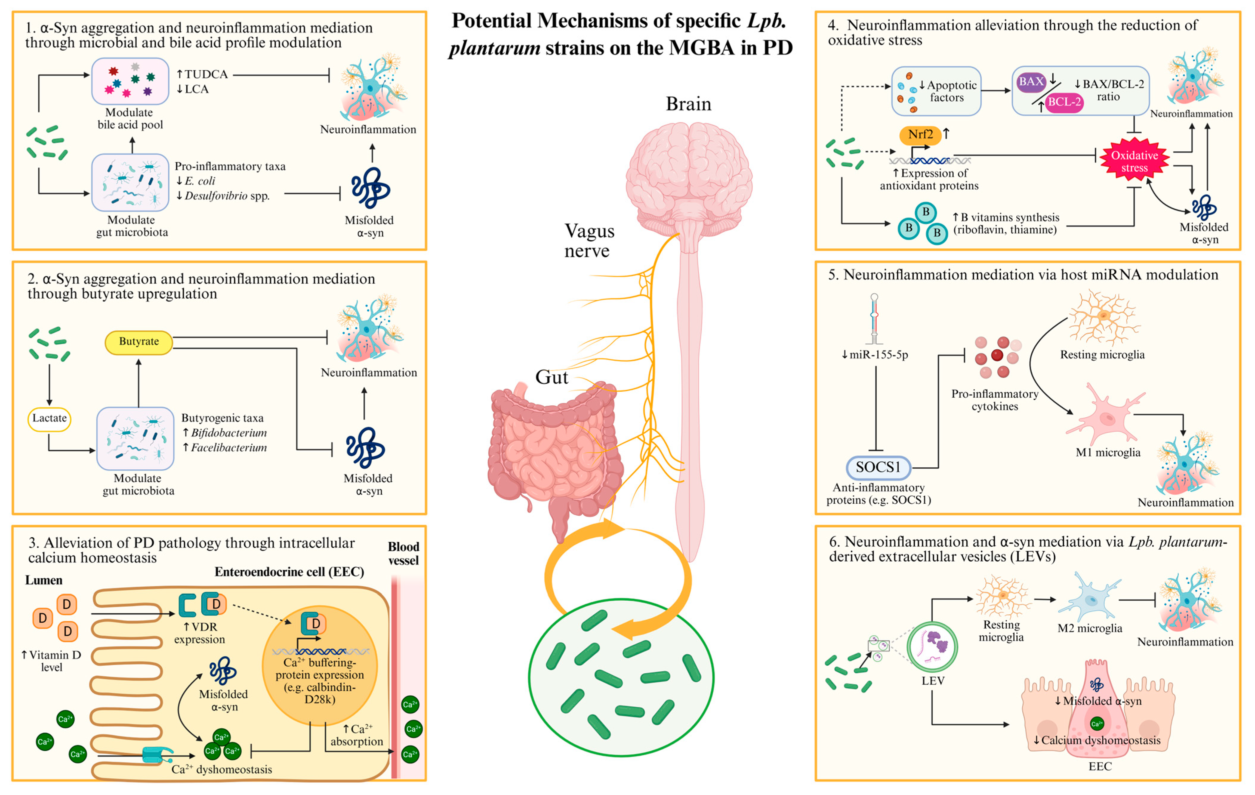 Nutrients 17 03047 g002 Nutrients 17 03047 g002