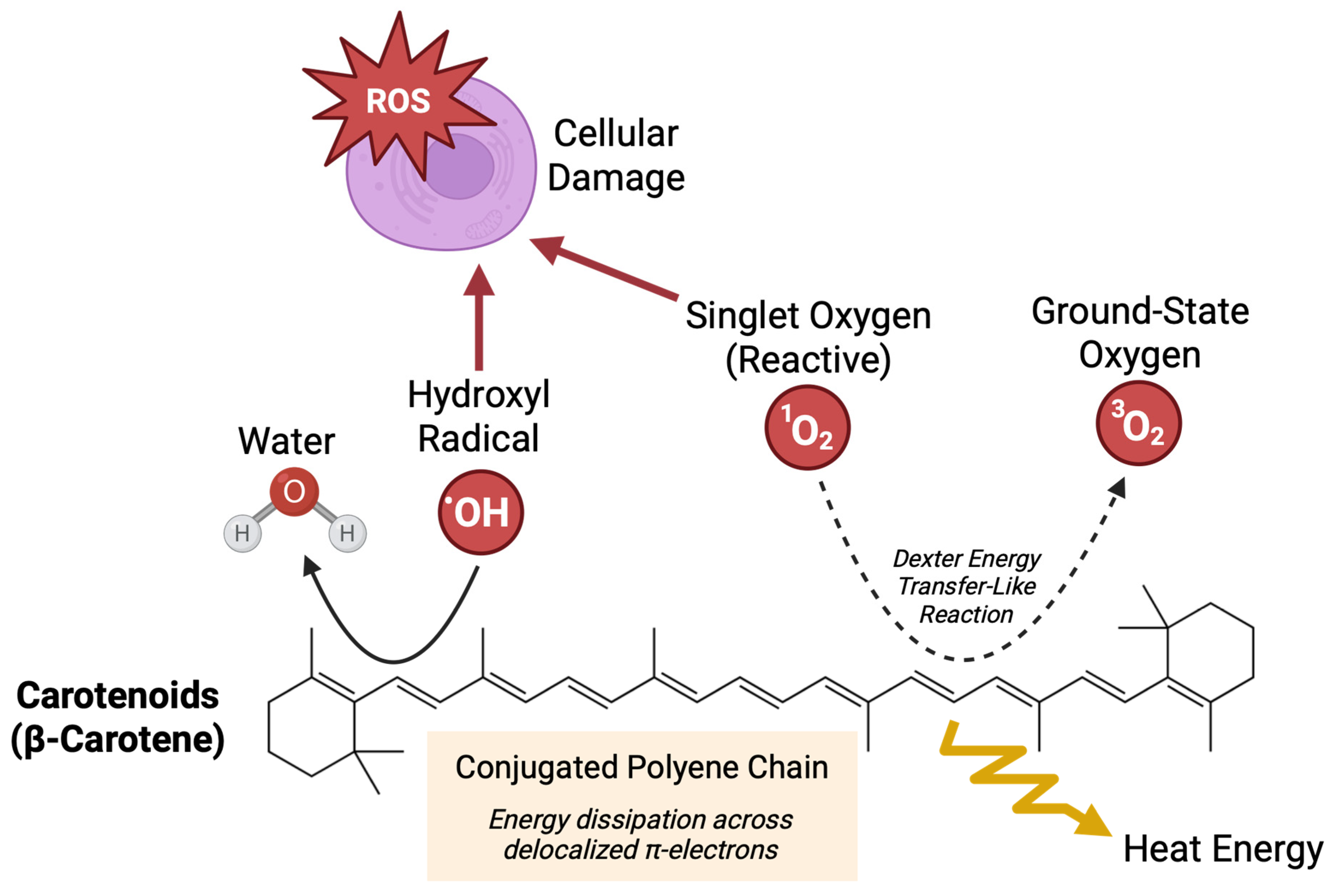 Nutrients 17 03104 g001 Nutrients 17 03104 g001