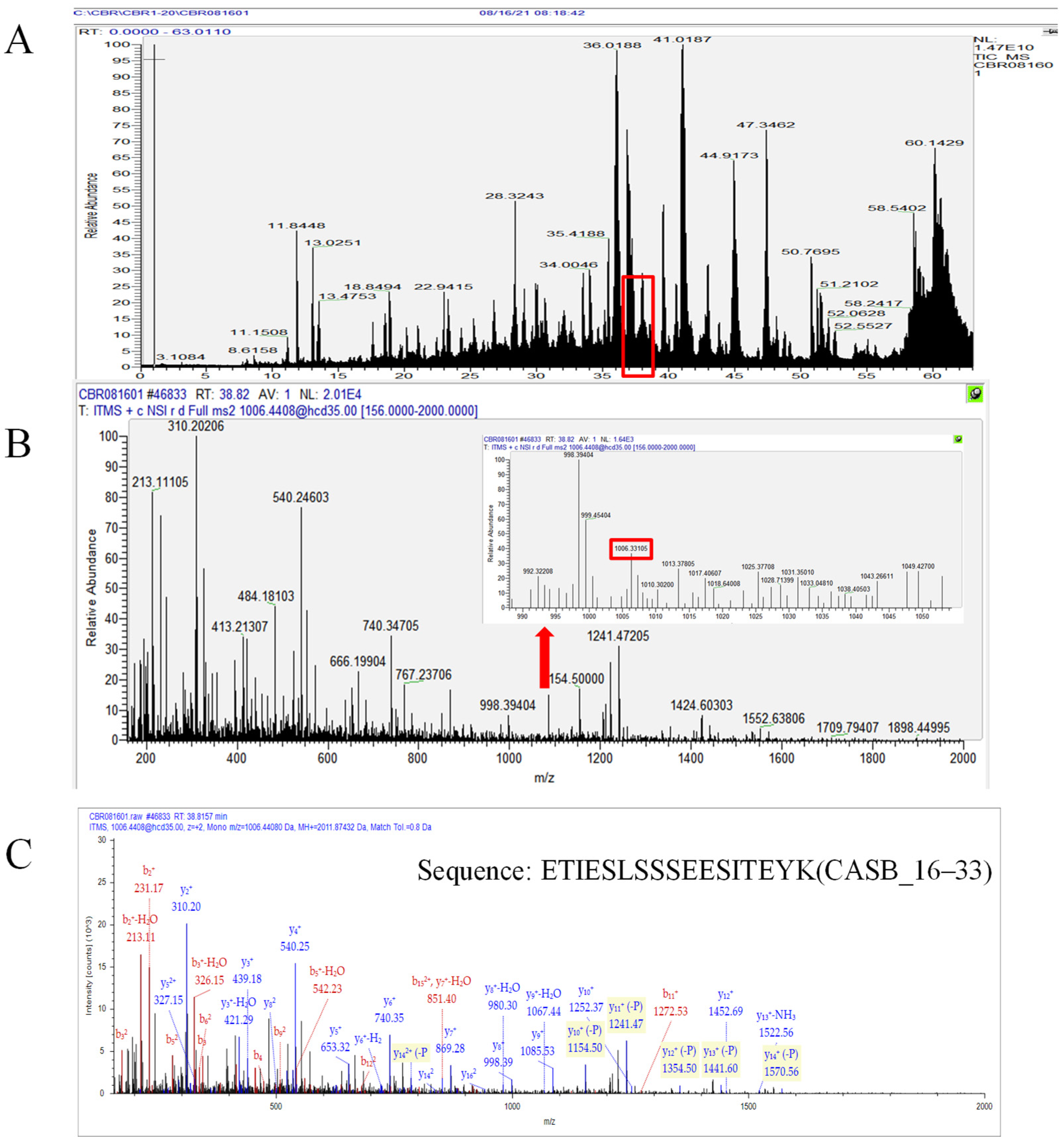 Nutrients 17 03131 g001 Nutrients 17 03131 g001