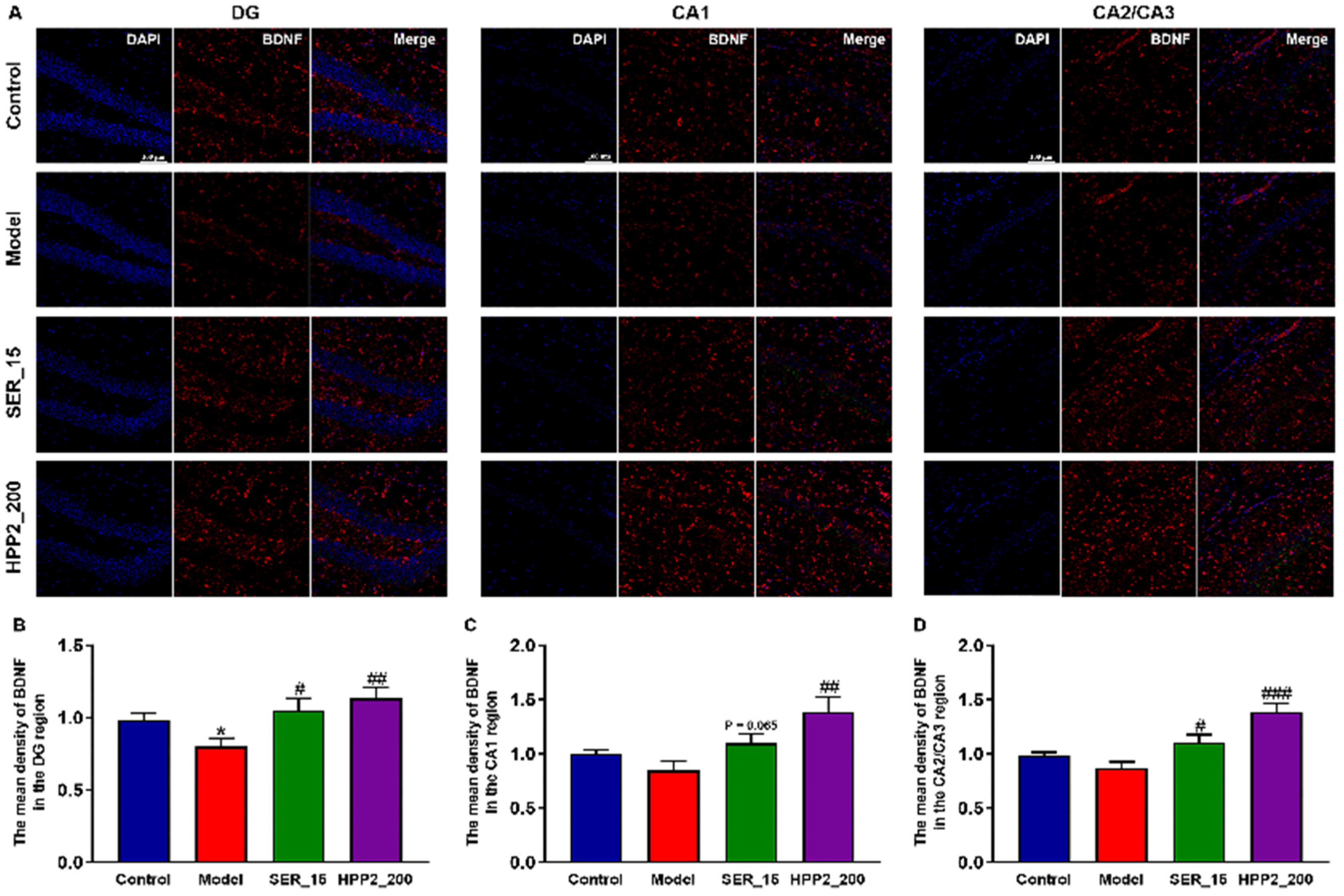 Nutrients 17 03222 g007 Nutrients 17 03222 g007