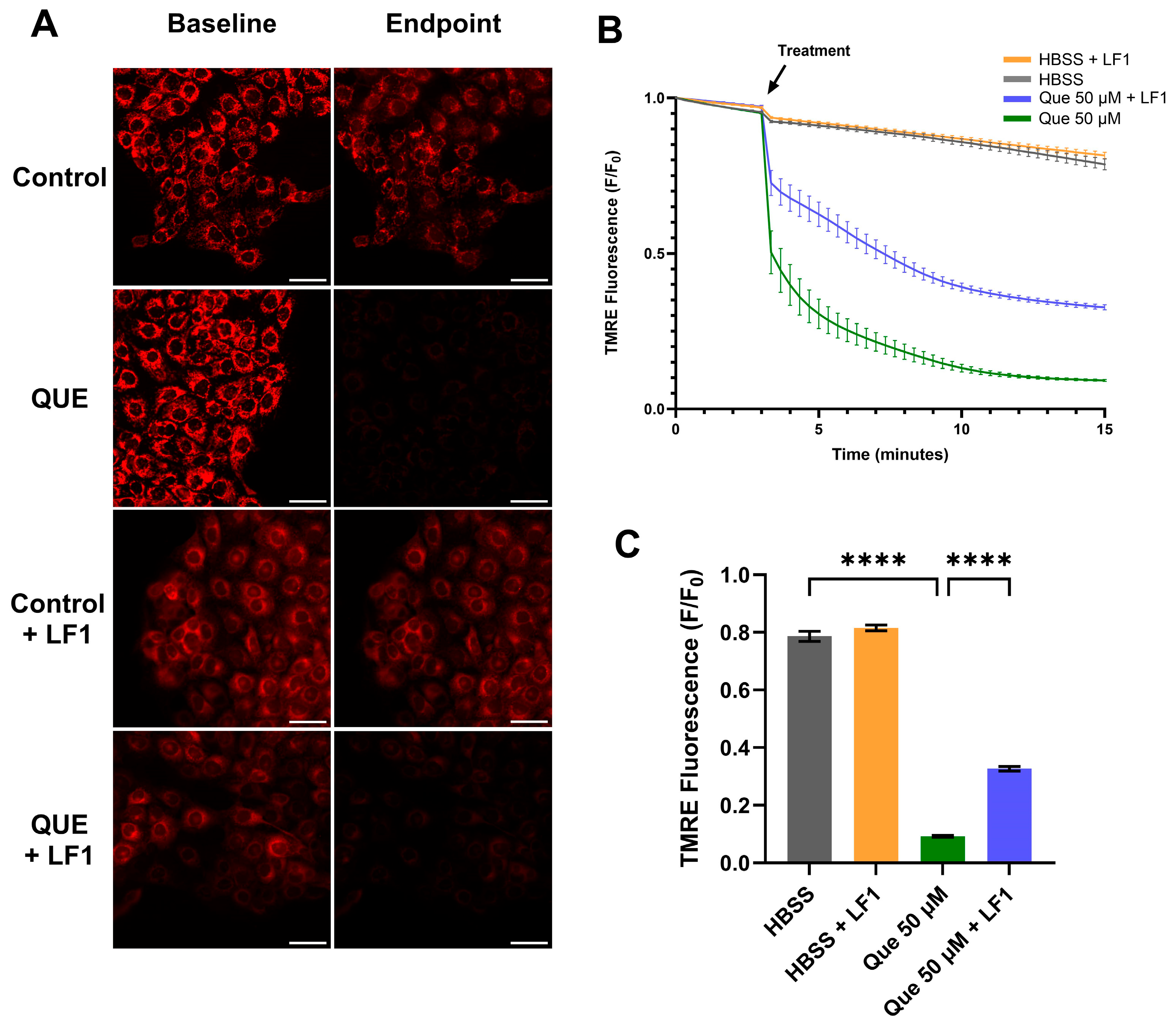 Nutrients 17 03224 g005 Nutrients 17 03224 g005