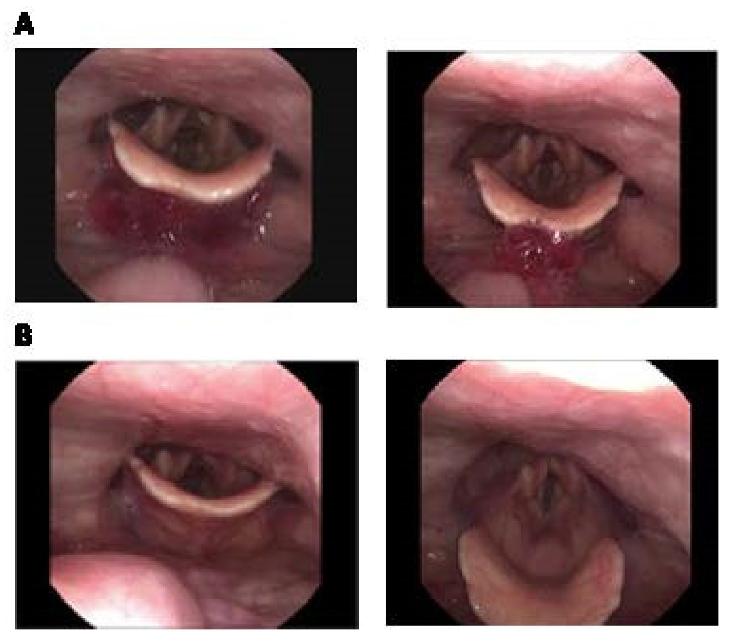Nutrients 17 03289 g003 Nutrients 17 03289 g003