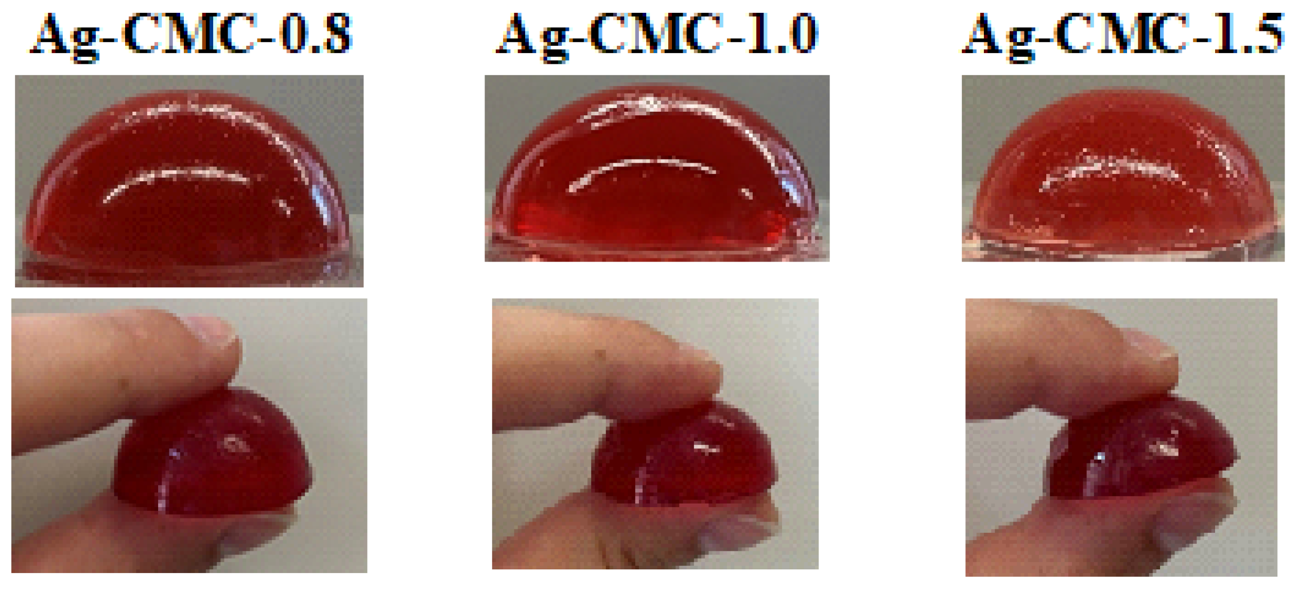 Nutrients 17 03289 g0a1 Nutrients 17 03289 g0a1