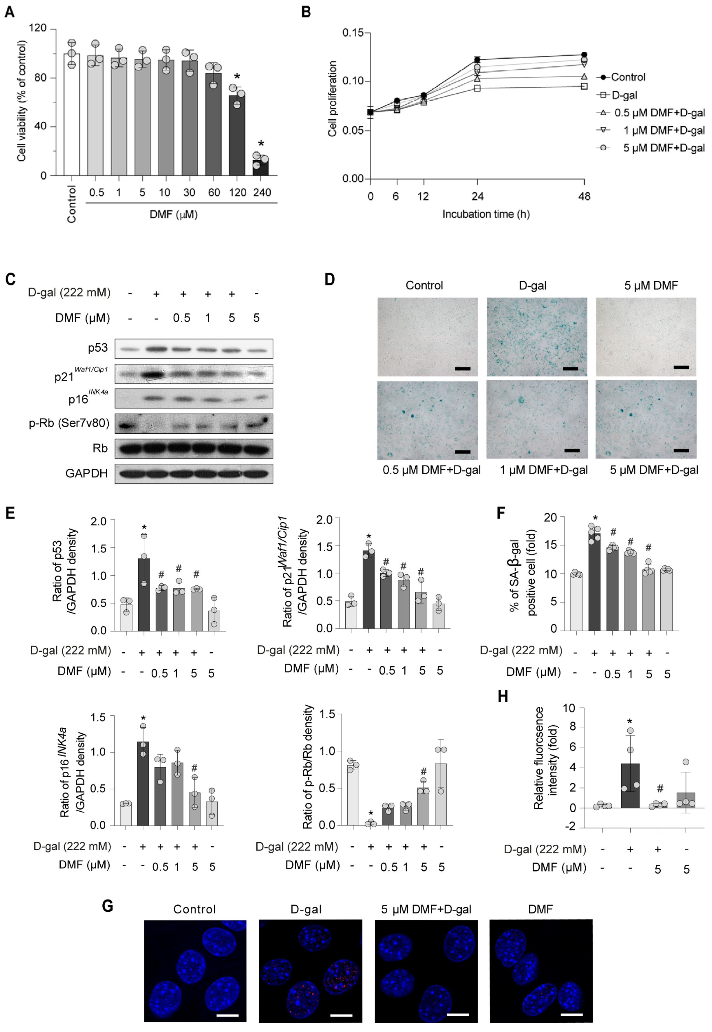 Nutrients 17 03298 g002 Nutrients 17 03298 g002