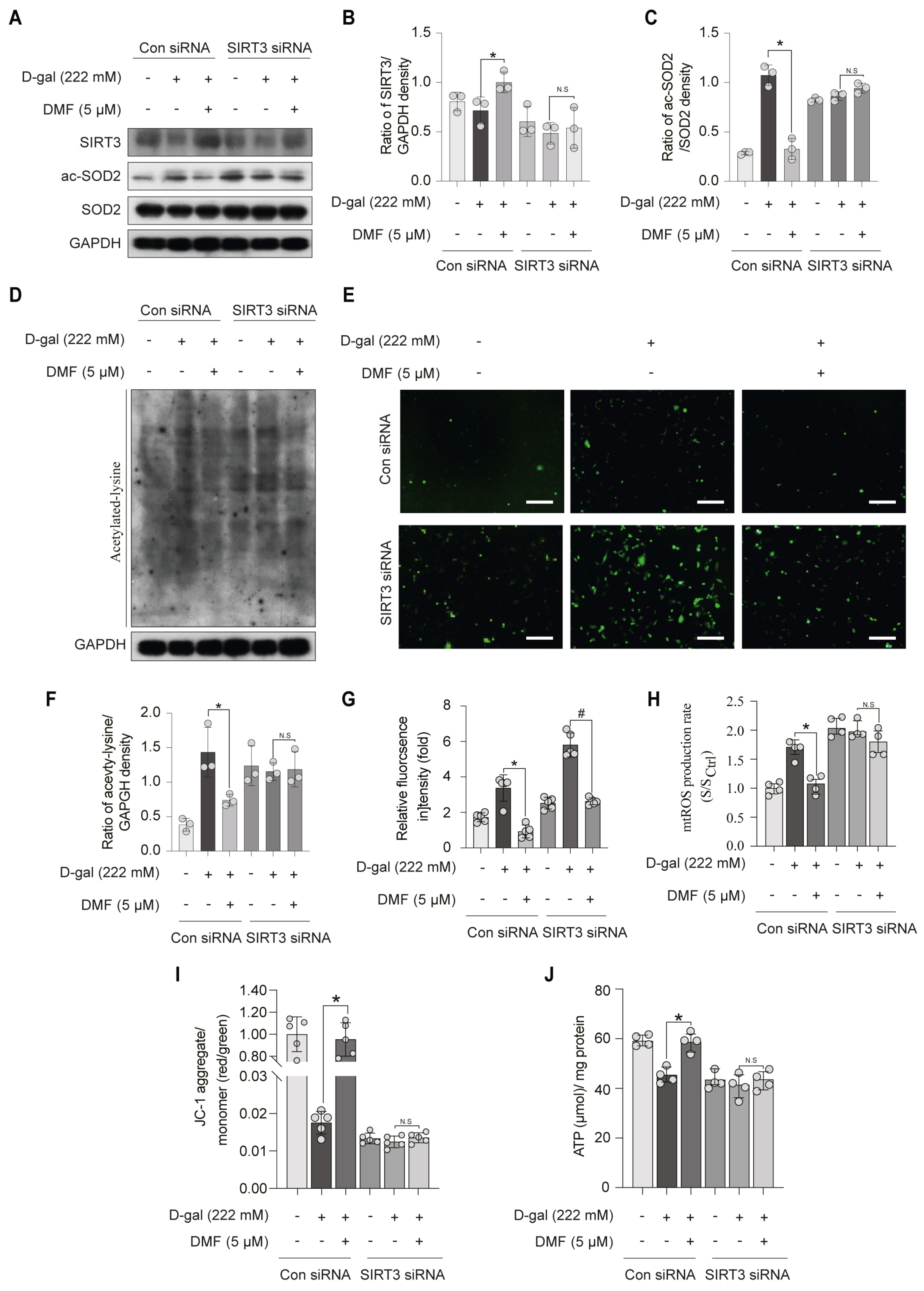 Nutrients 17 03298 g005 Nutrients 17 03298 g005