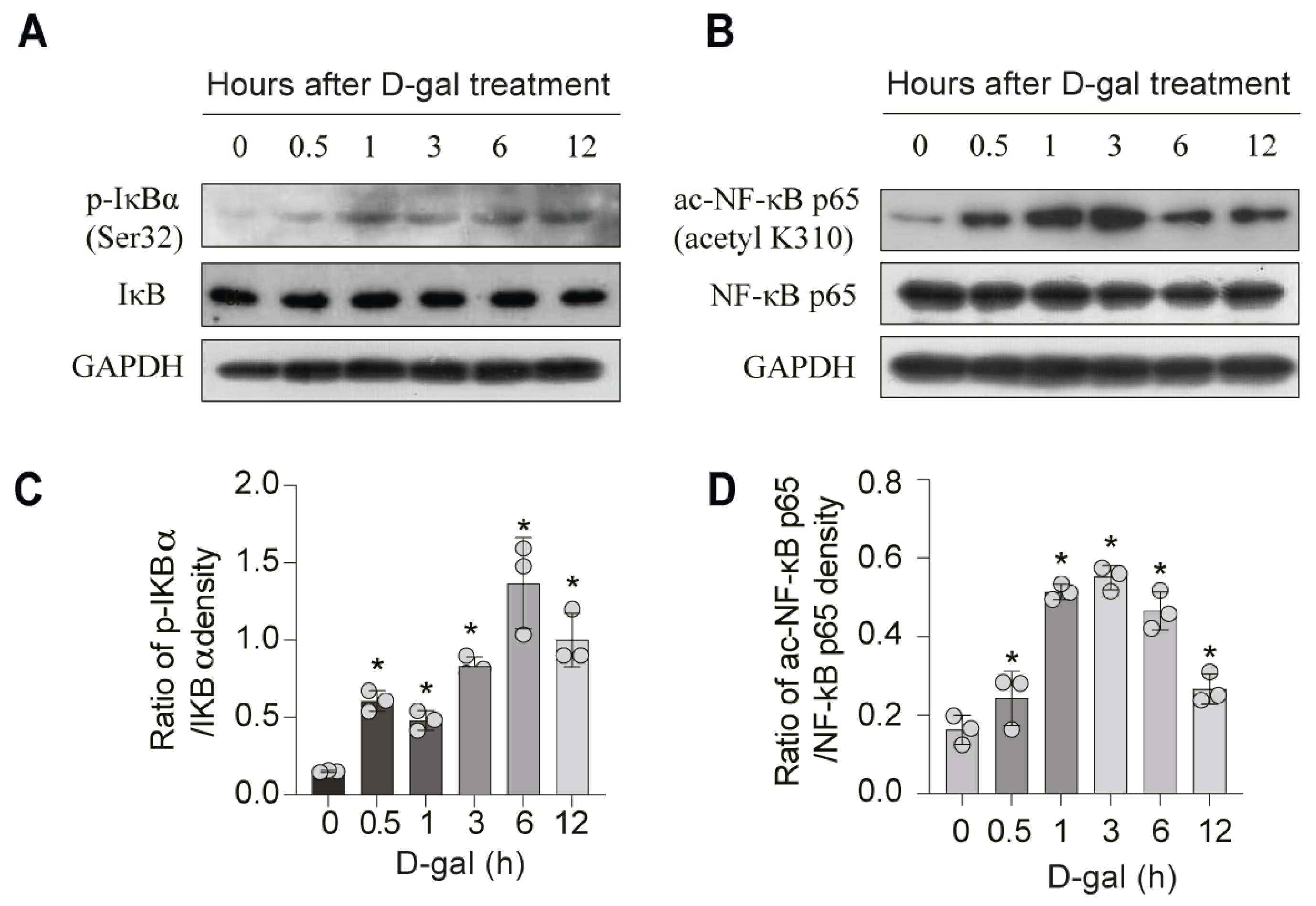 Nutrients 17 03298 g006a Nutrients 17 03298 g006a