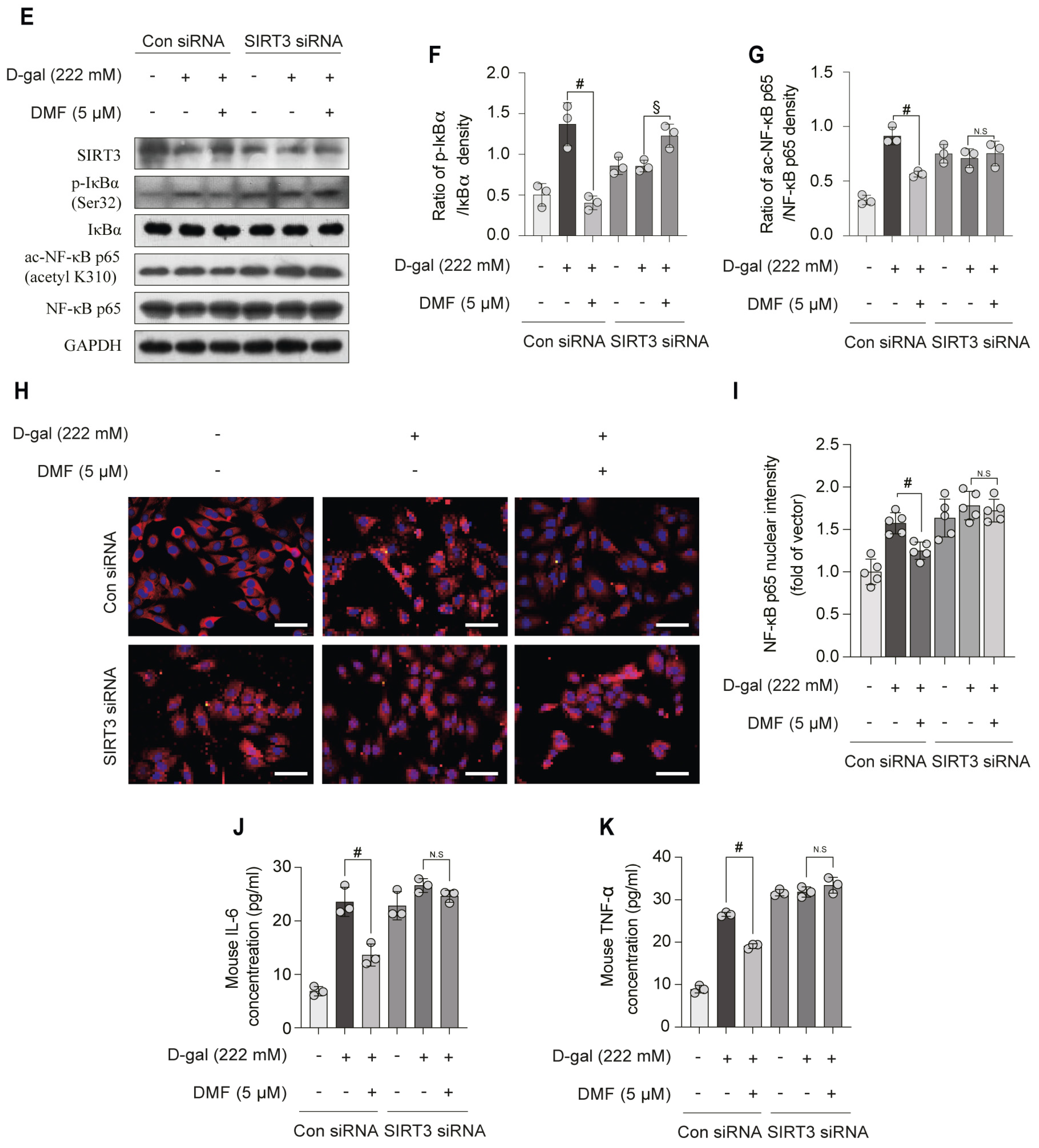 Nutrients 17 03298 g006b Nutrients 17 03298 g006b