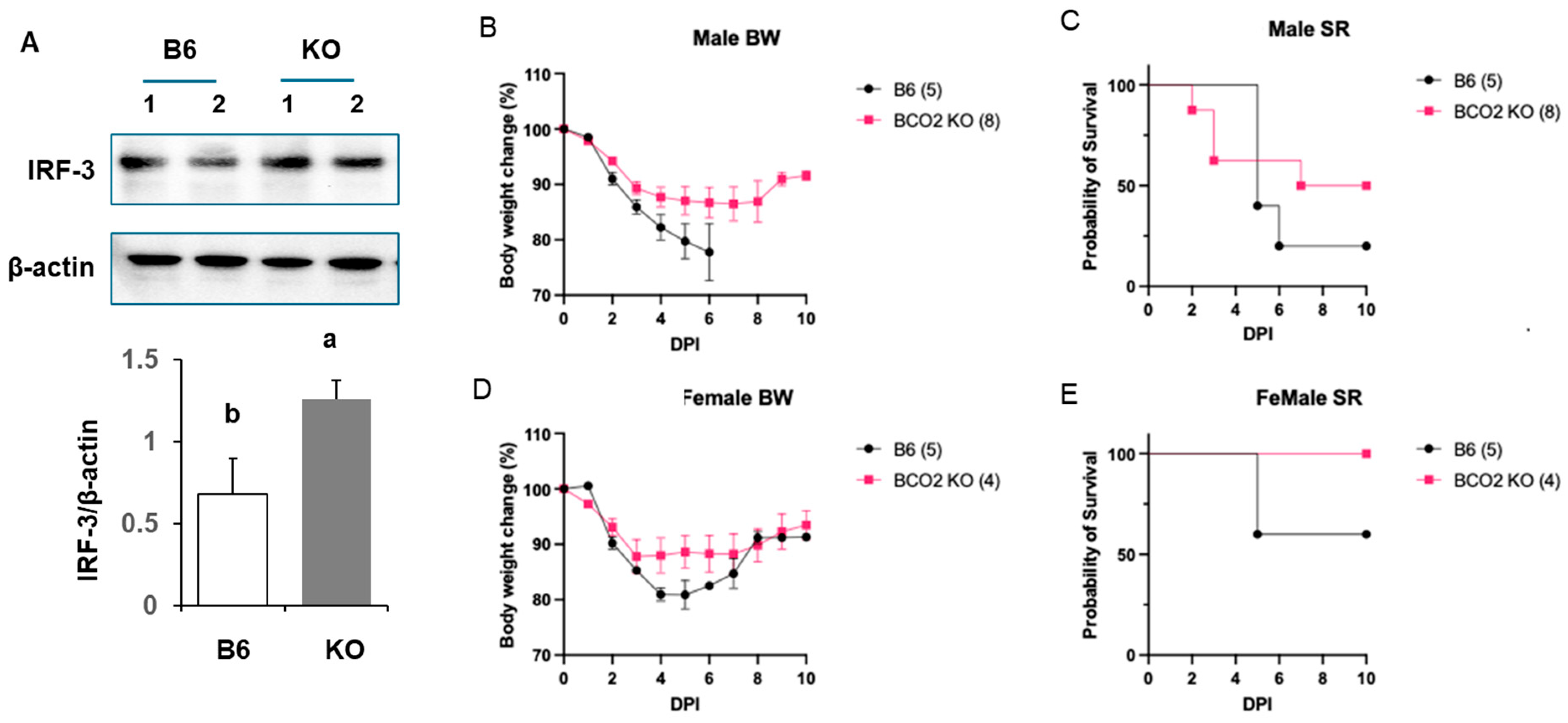 Nutrients 17 03329 g004 Nutrients 17 03329 g004