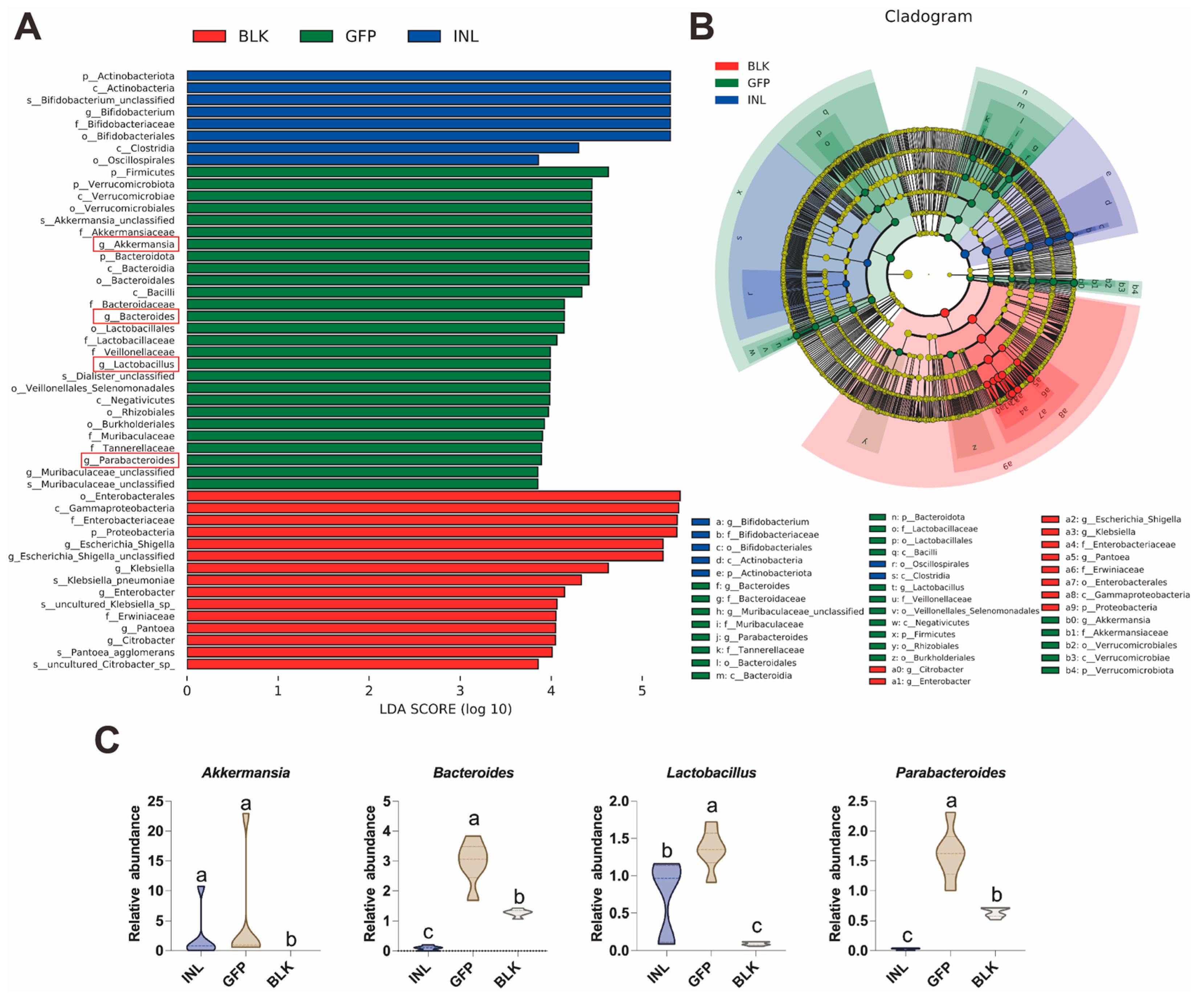 Nutrients 17 03332 g005 Nutrients 17 03332 g005