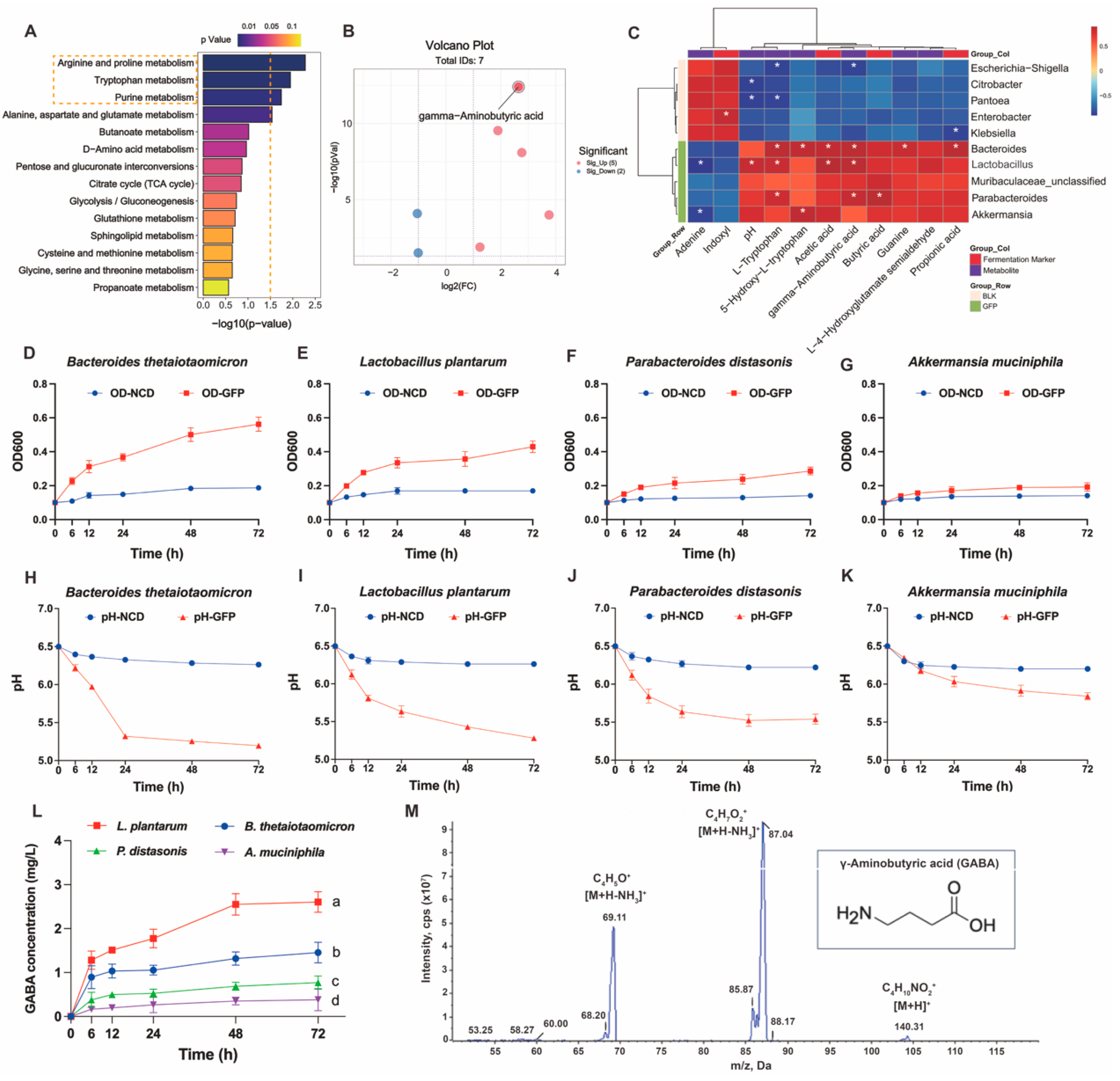 Nutrients 17 03332 g008 Nutrients 17 03332 g008