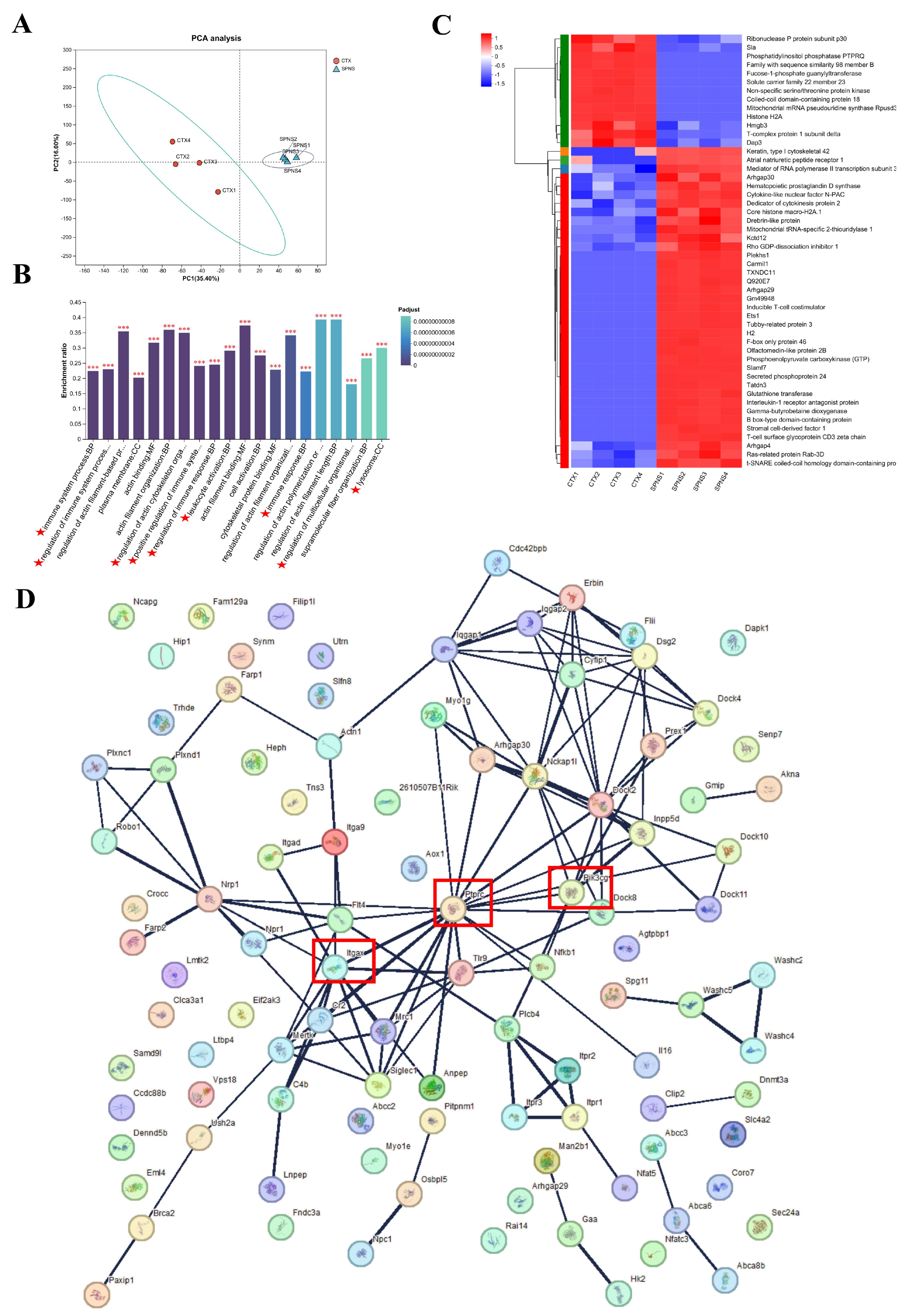 Nutrients 17 03335 g004 Nutrients 17 03335 g004