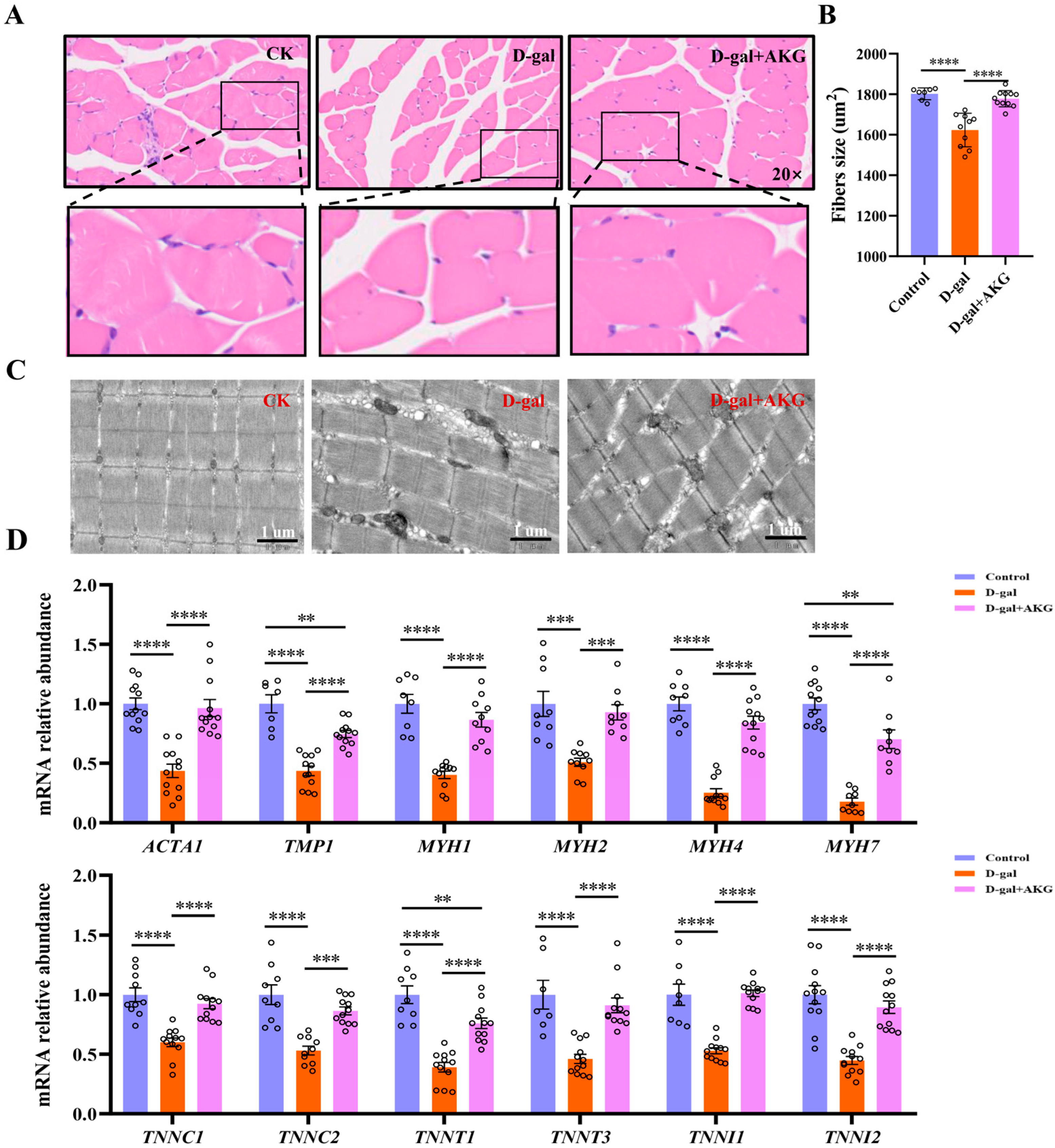 Nutrients 17 03336 g002 Nutrients 17 03336 g002