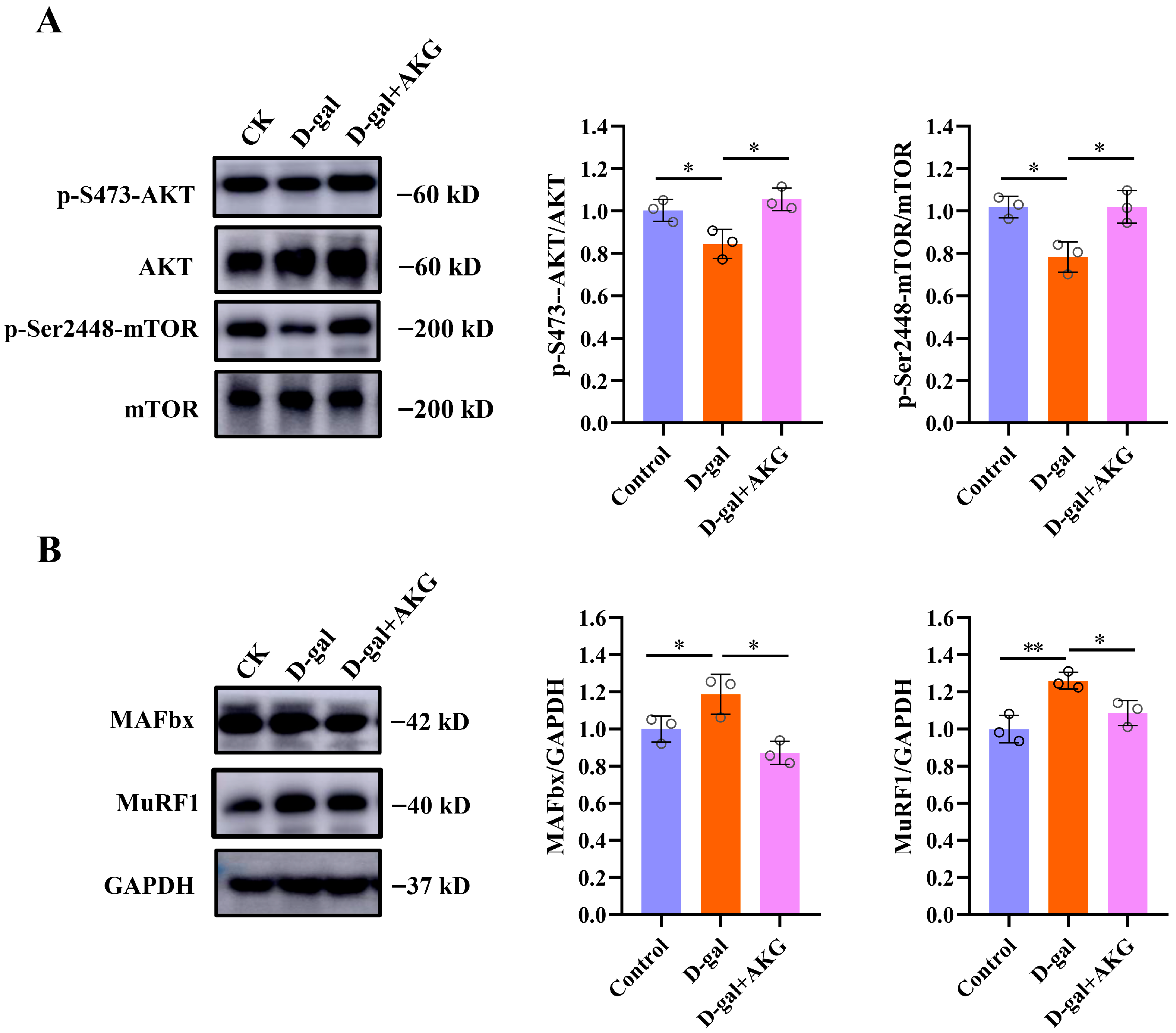 Nutrients 17 03336 g003 Nutrients 17 03336 g003
