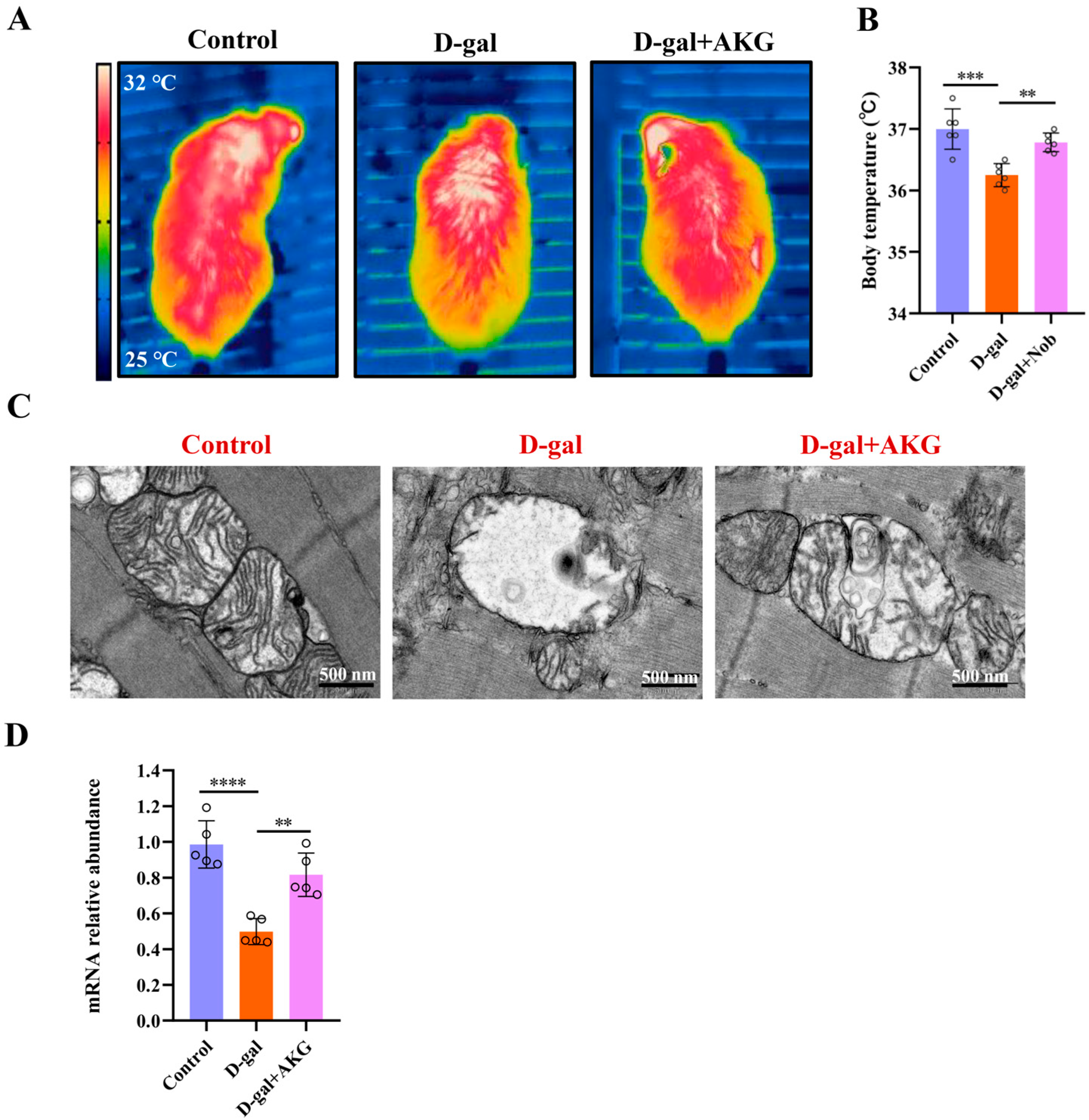 Nutrients 17 03336 g004 Nutrients 17 03336 g004