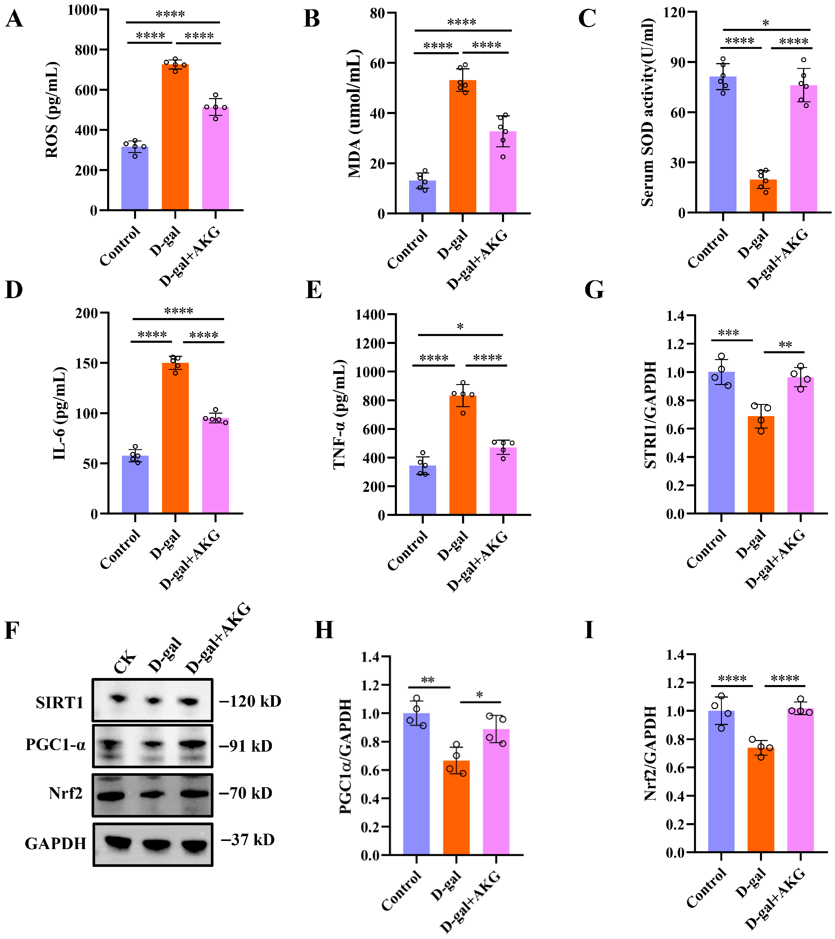 Nutrients 17 03336 g005 Nutrients 17 03336 g005