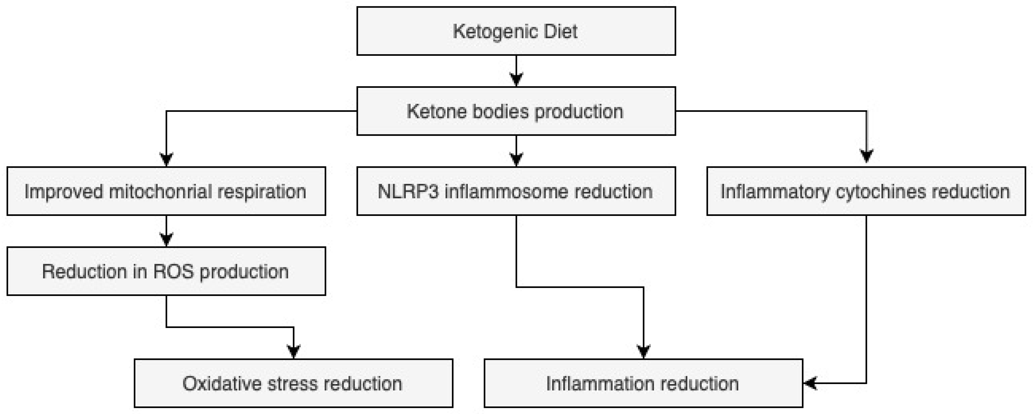 Nutrients 17 03343 g001 Nutrients 17 03343 g001