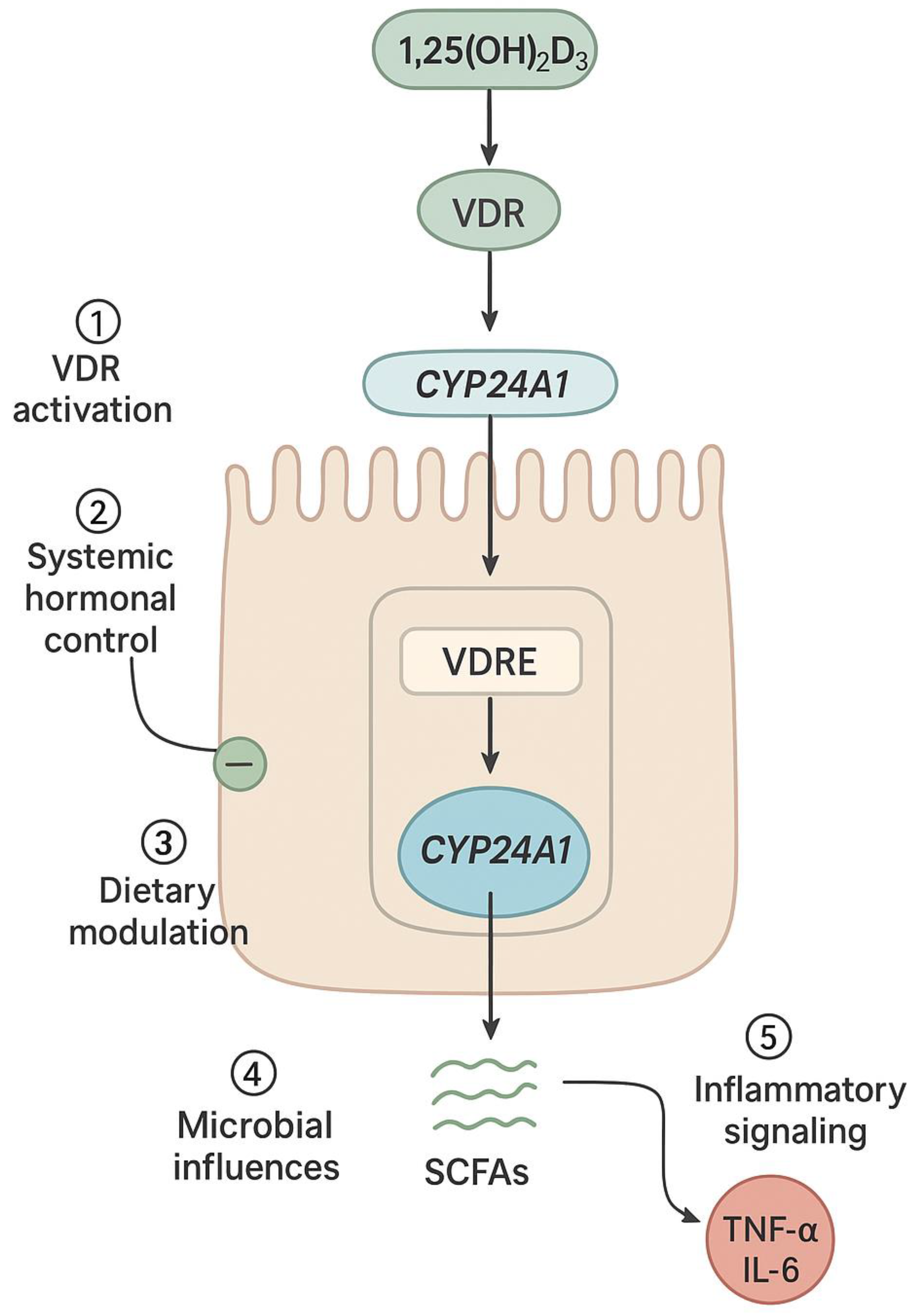 Nutrients 17 03348 g003 Nutrients 17 03348 g003