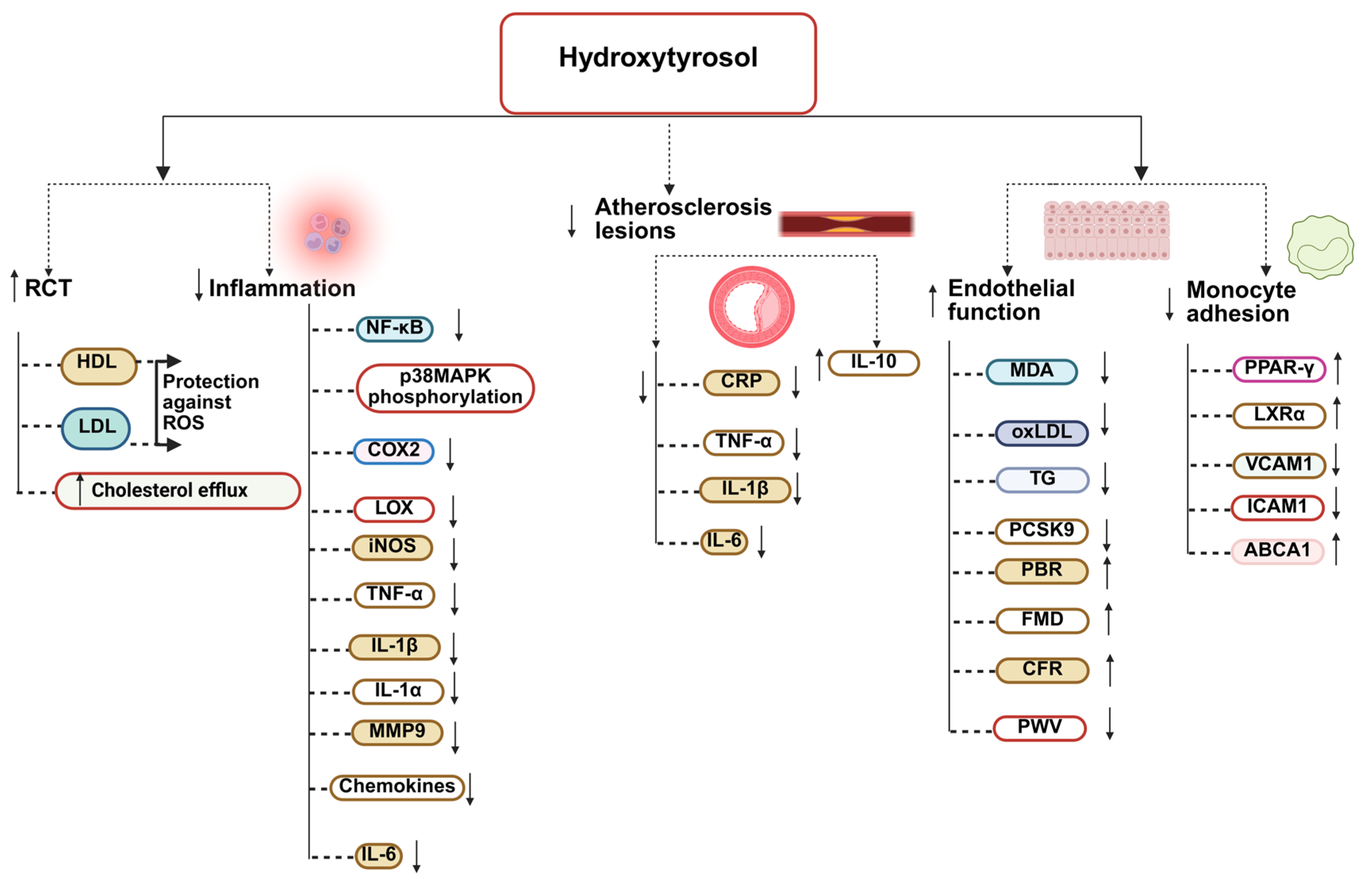 Nutrients 17 03784 g004 Nutrients 17 03784 g004