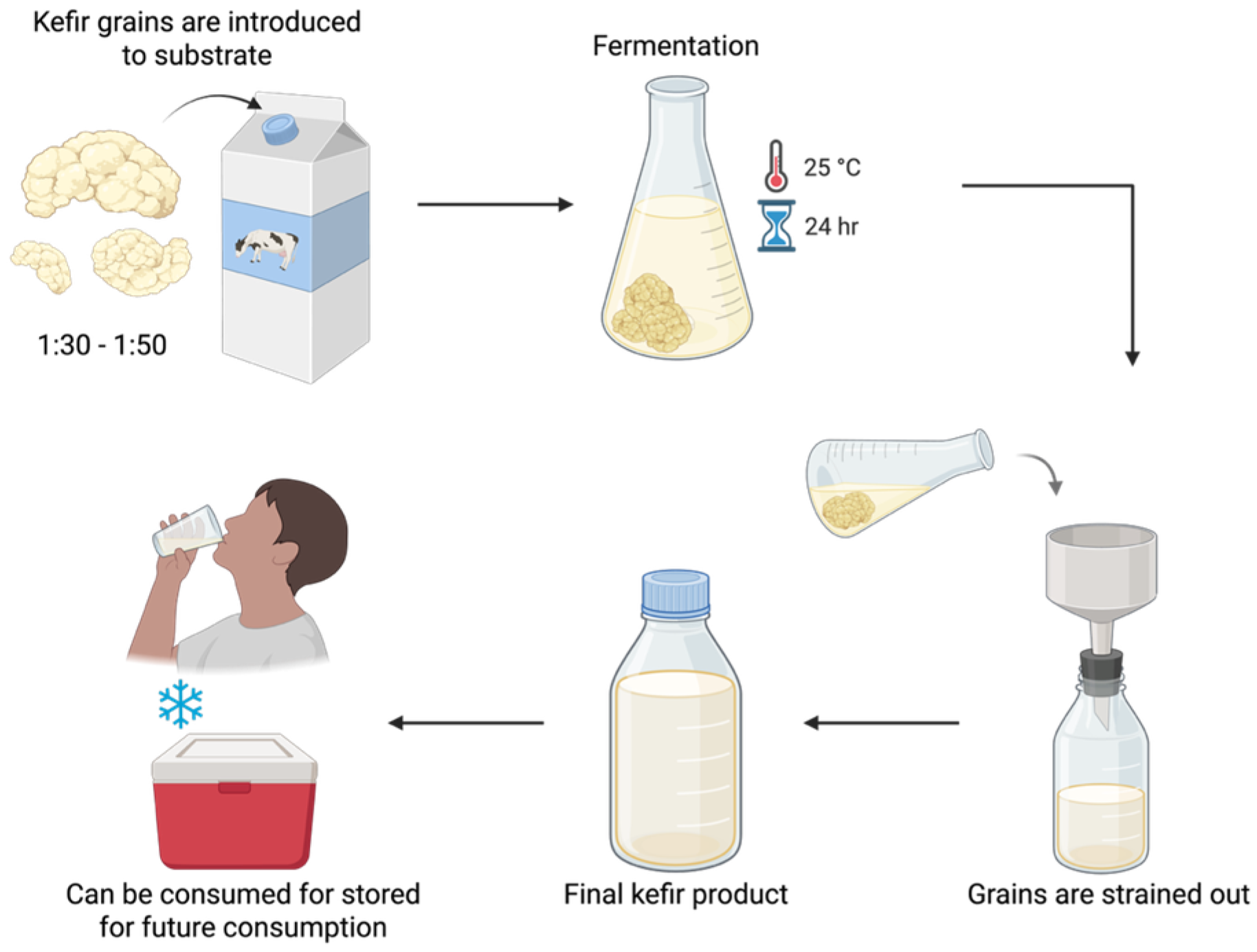 Nutrients 17 03861 g001 Nutrients 17 03861 g001