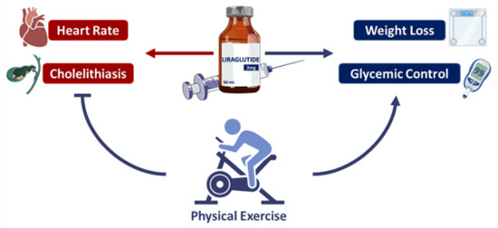 What's New In Obesity Treatment?, 42% OFF