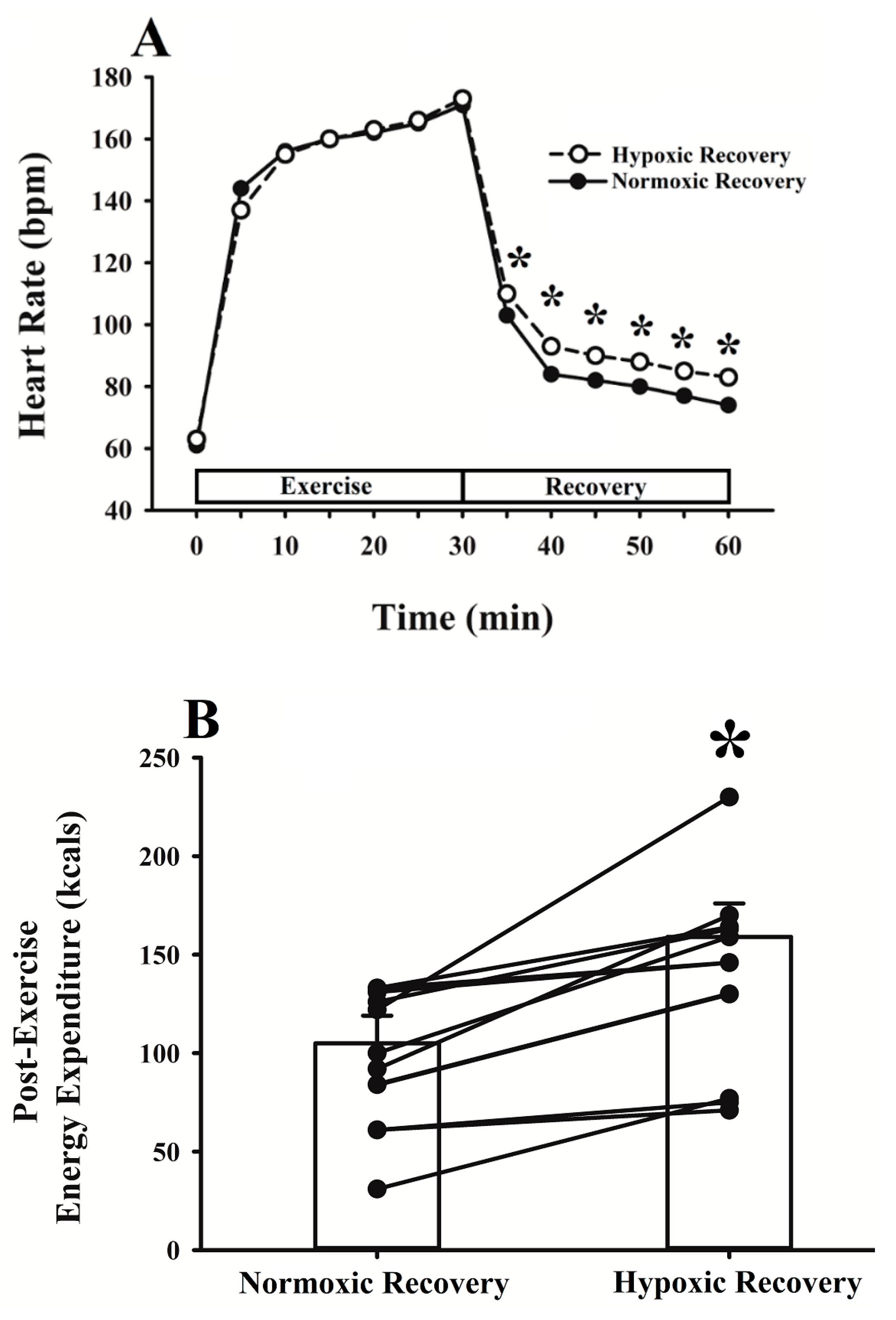 Obesities 04 00016 g002 Obesities 04 00016 g002
