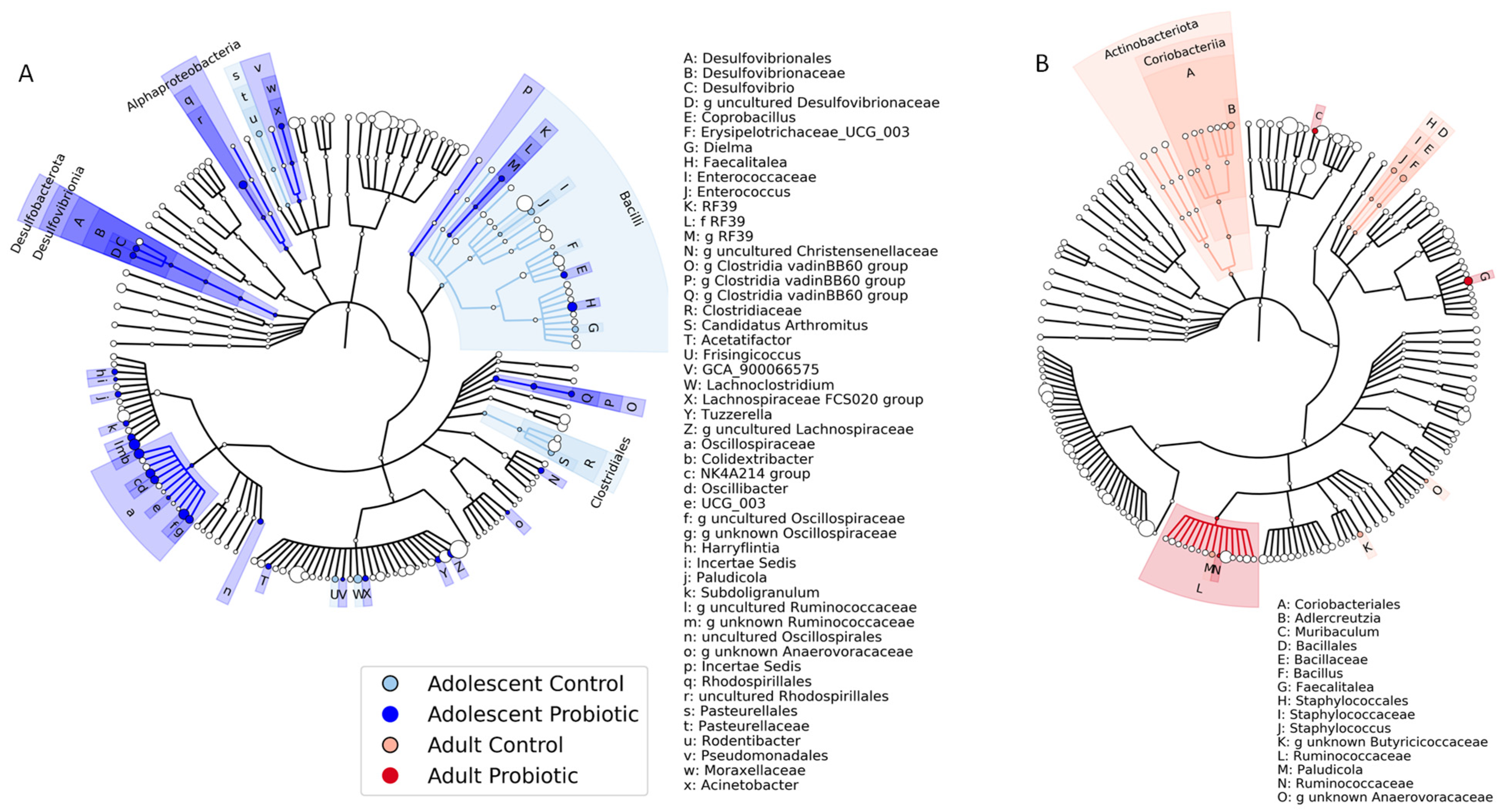 Obesities 05 00017 g003
