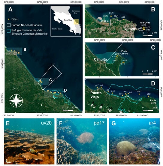 https://www.mdpi.com/oceans/oceans-04-00022/article_deploy/html/images/oceans-04-00022-g001-550.jpg