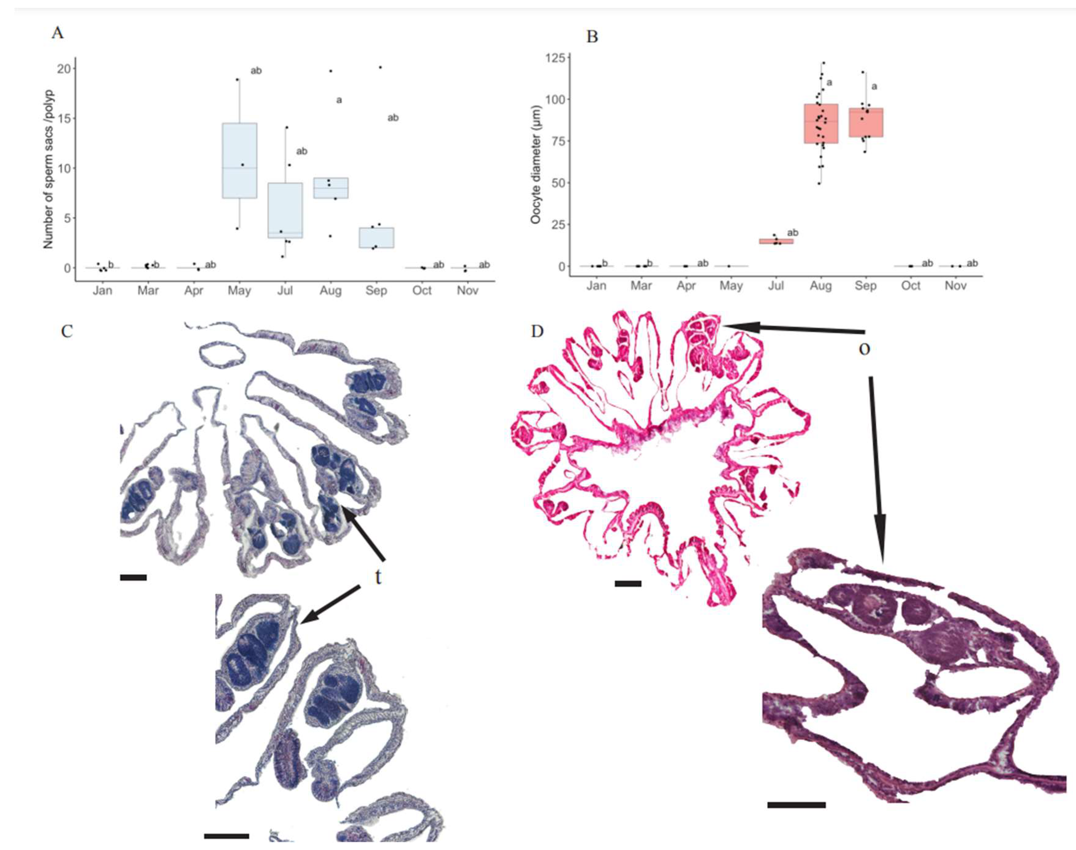 Oceans 05 00043 g003