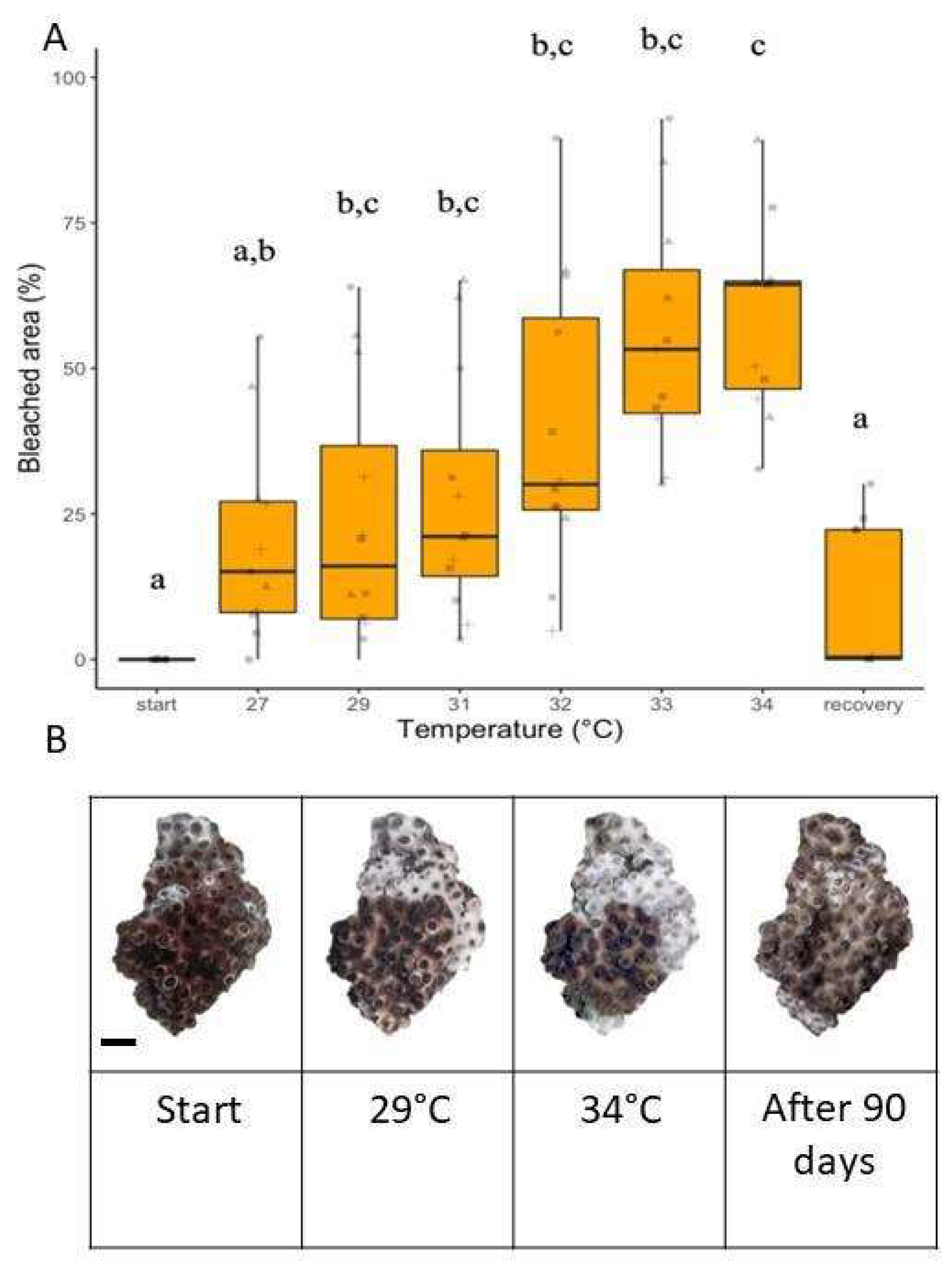 Oceans 05 00043 g005