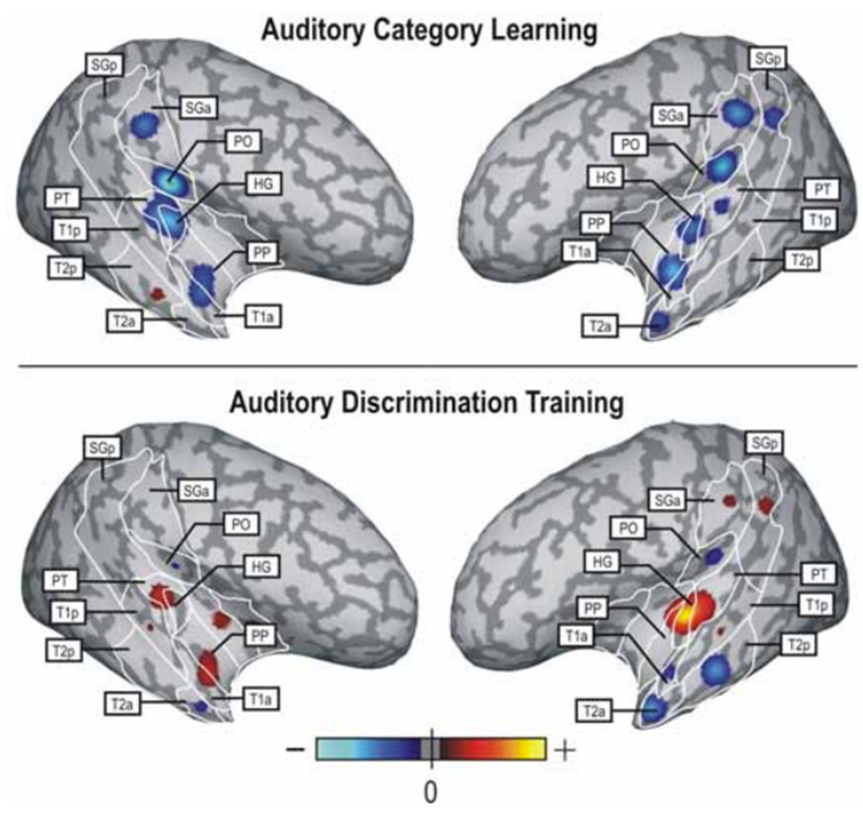 Ohbm 03 00006 g002 Ohbm 03 00006 g002