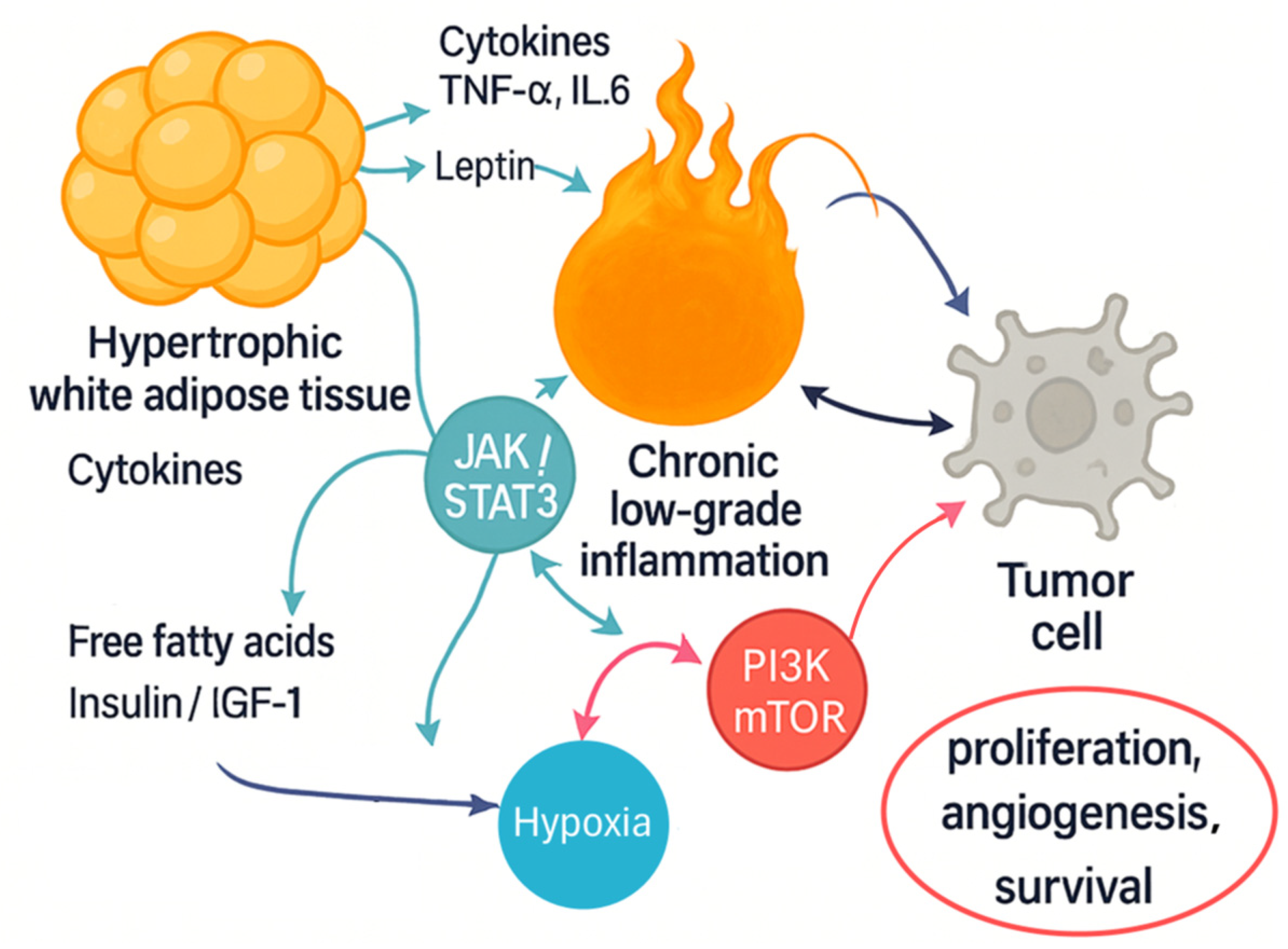 Onco 05 00047 g002 Onco 05 00047 g002