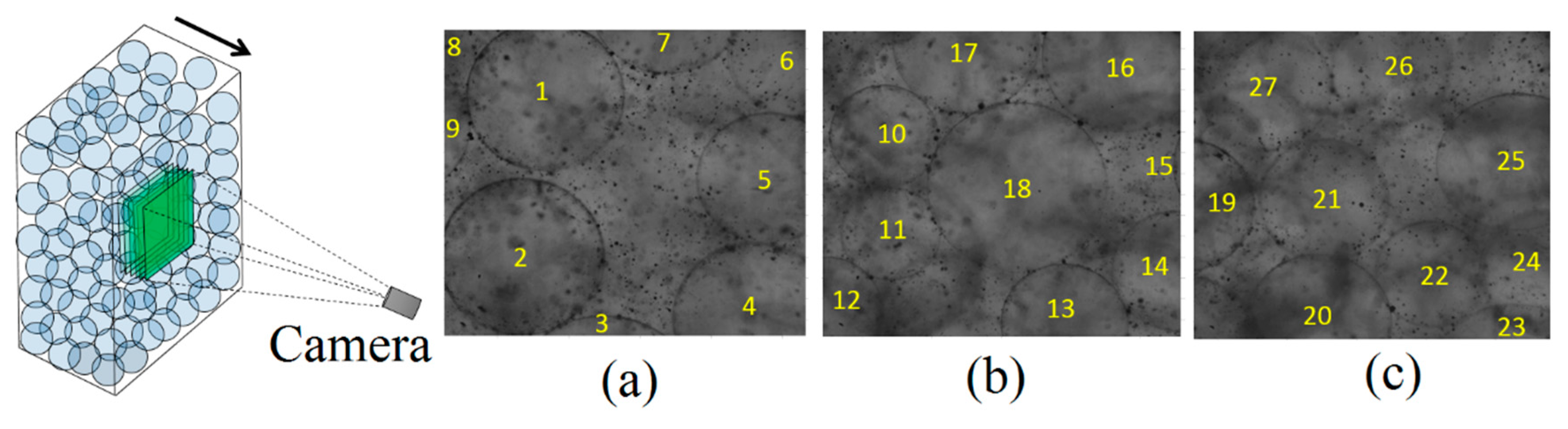 3D Macroscale Measurements