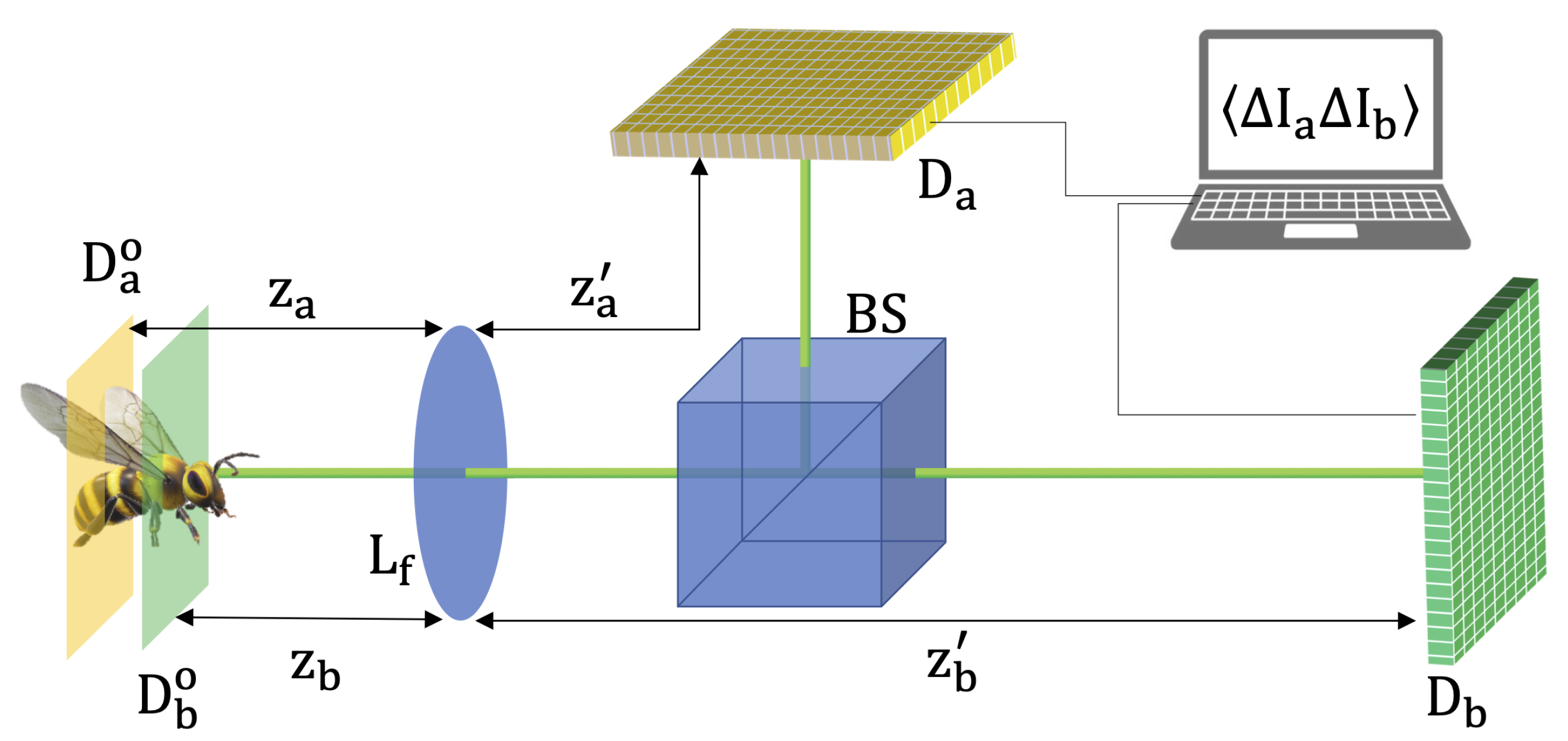 Optics 03 00015 g001