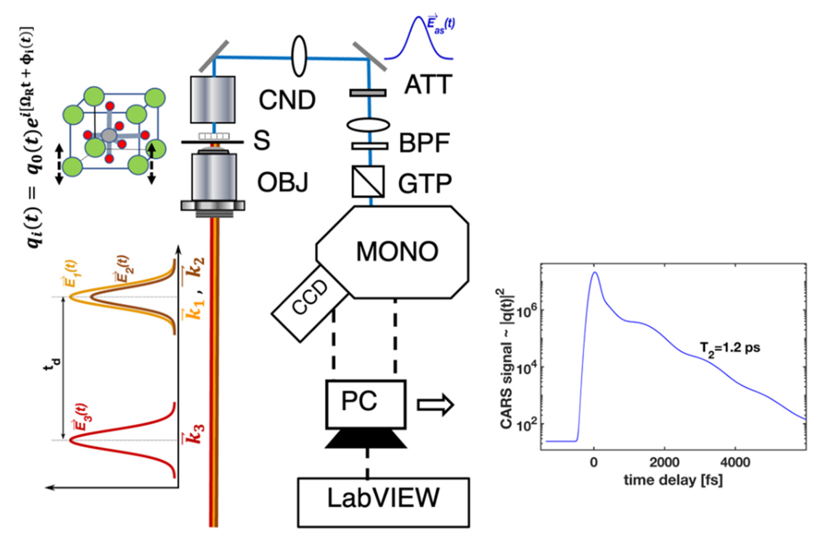 The phonon lifetime along phonon frequency at (a) 300 K, (b) 600 K