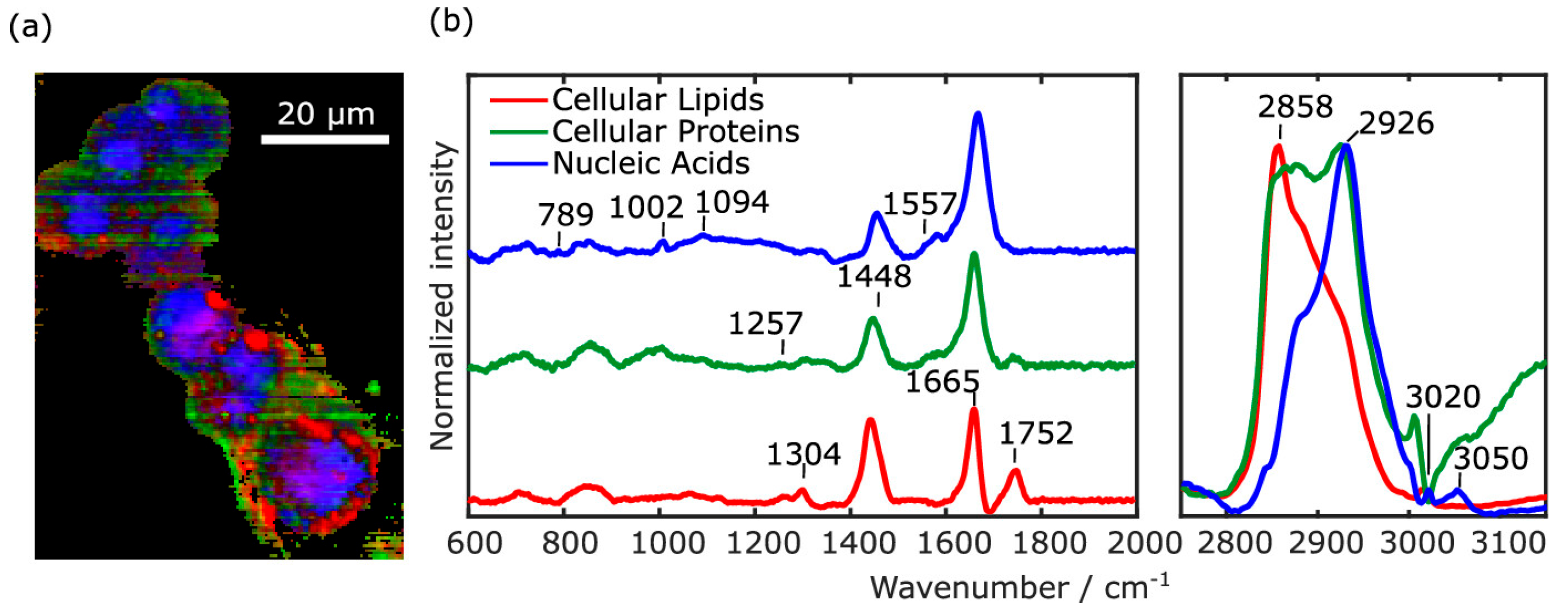 Optics 05 00031 g004