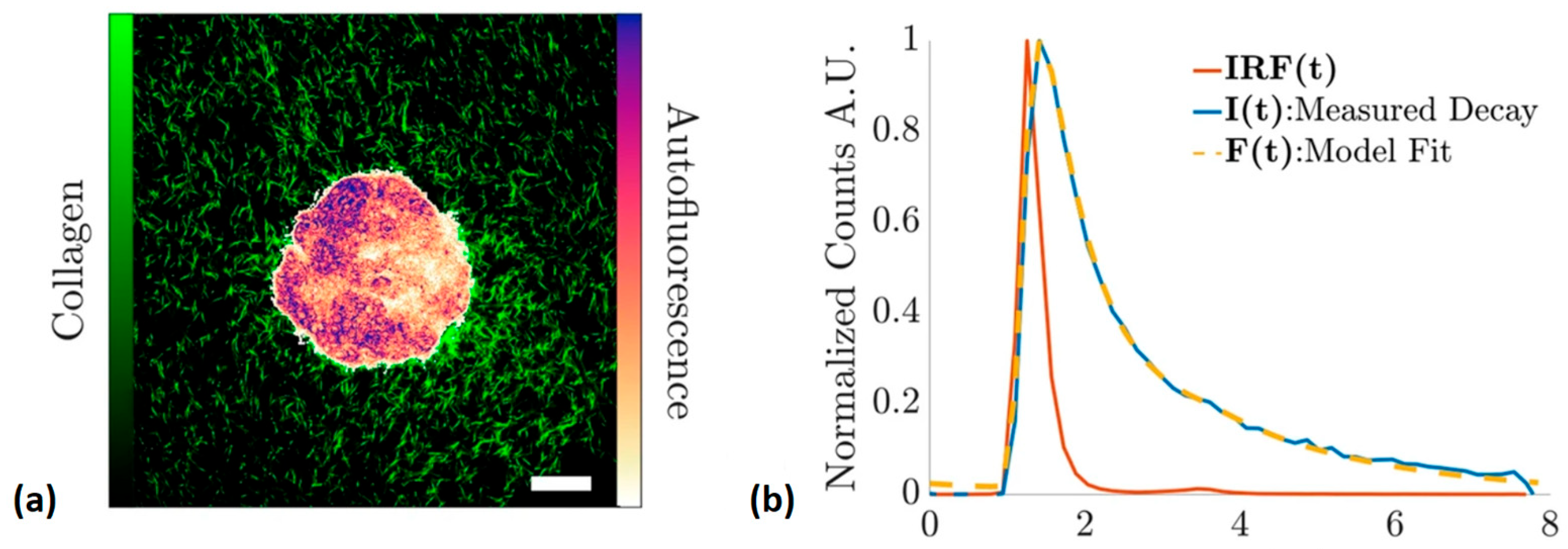 Optics 05 00031 g006