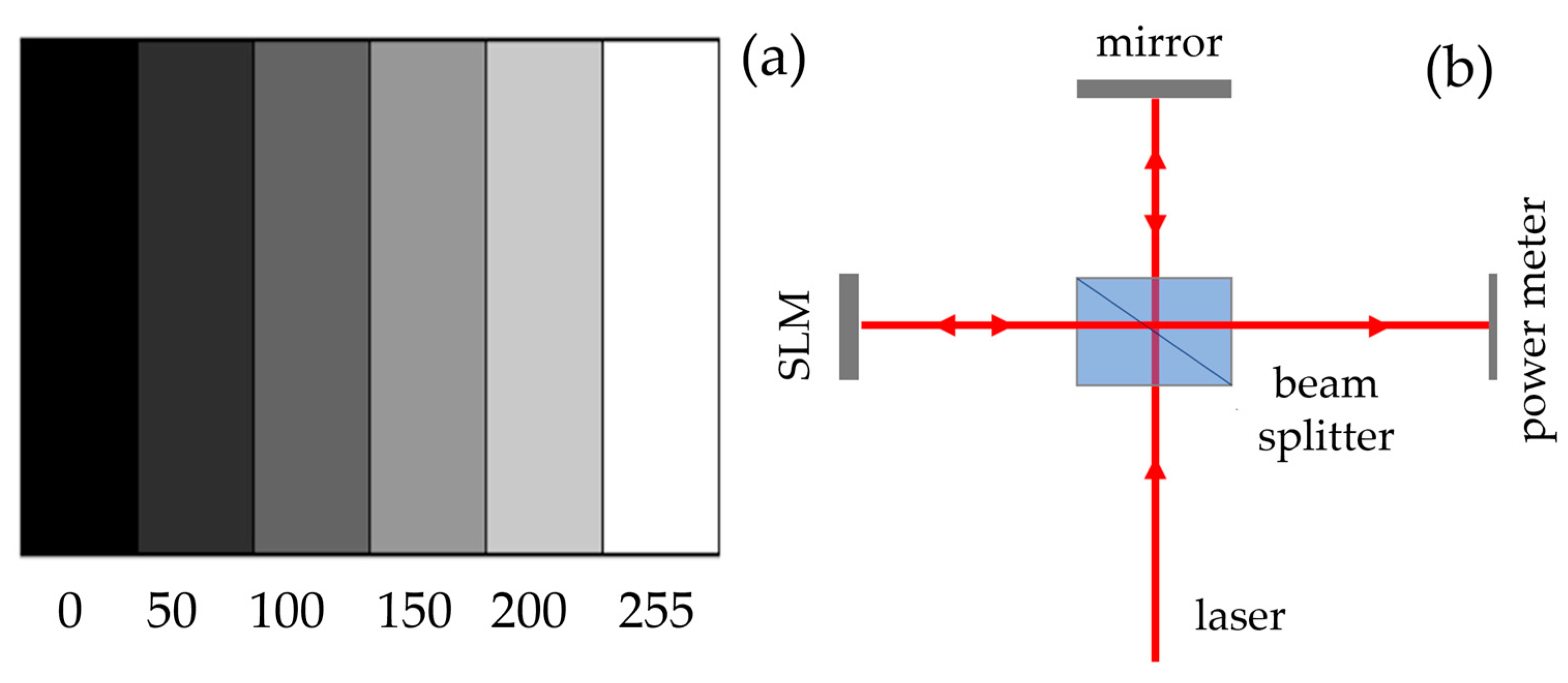 Optics 05 00043 g003