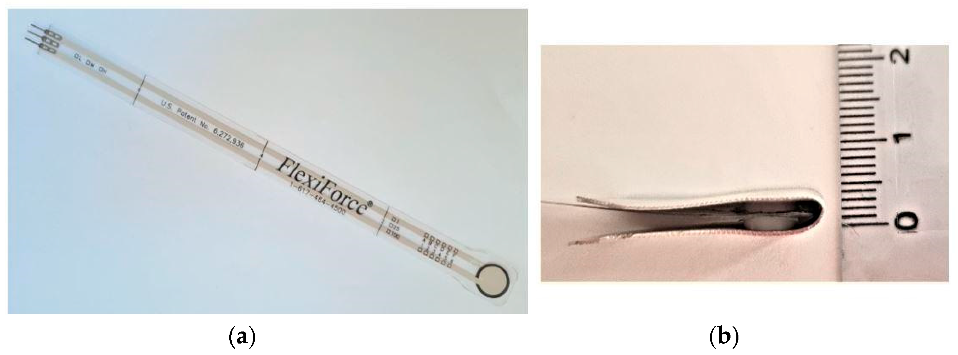 Oral 03 00008 g002 Oral 03 00008 g002