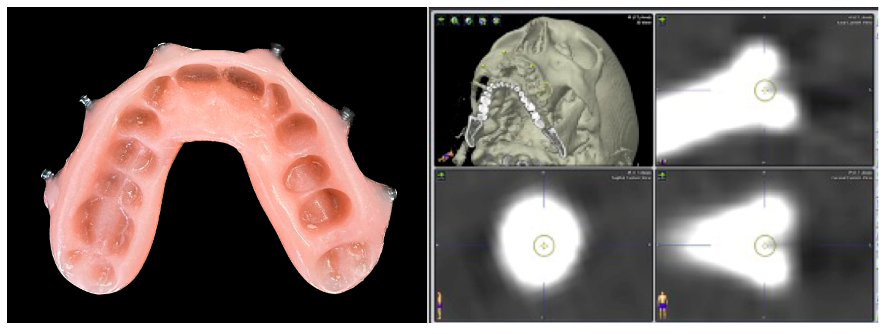 Oral 03 00013 g001 Oral 03 00013 g001