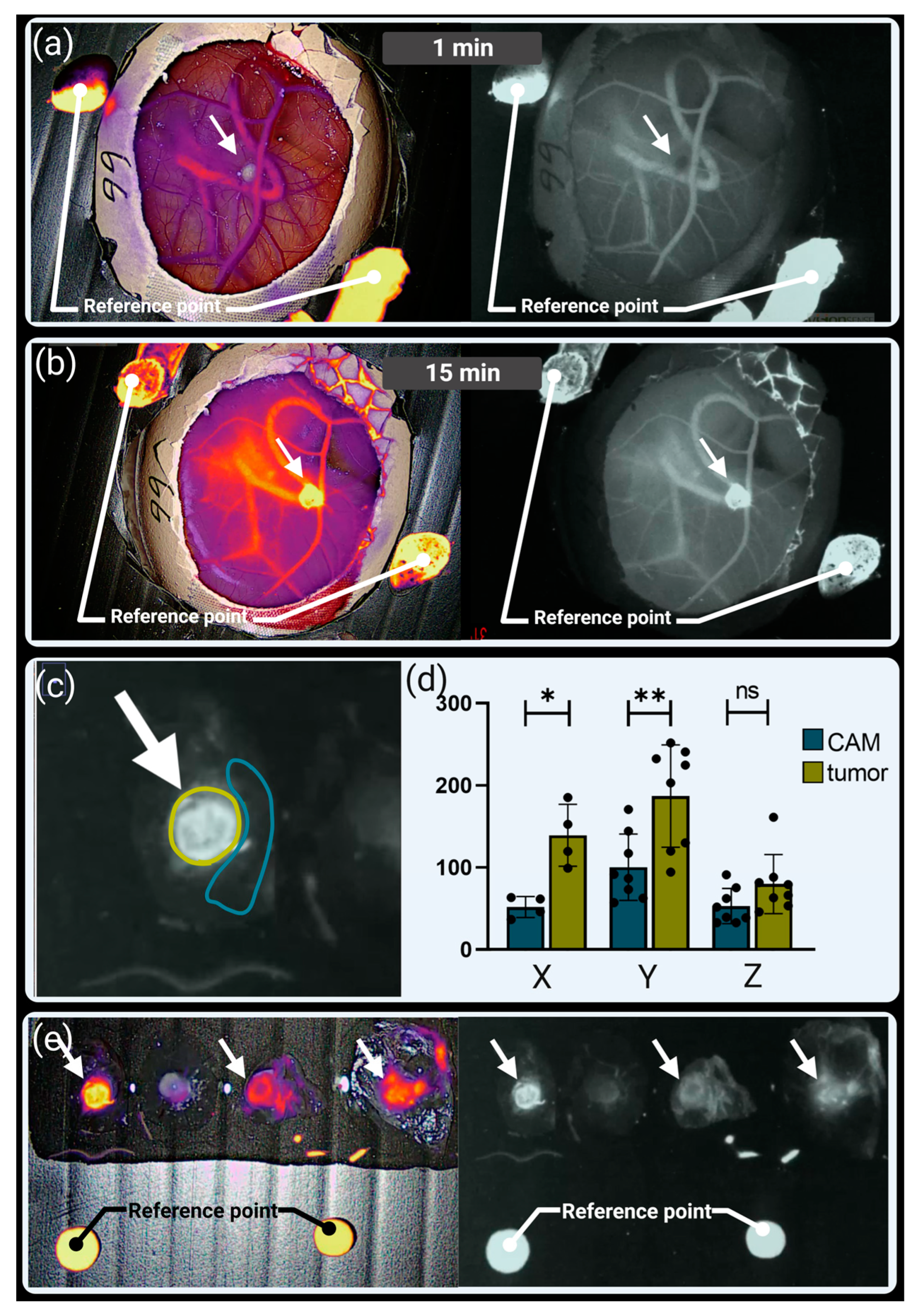 Organoids 03 00001 g006