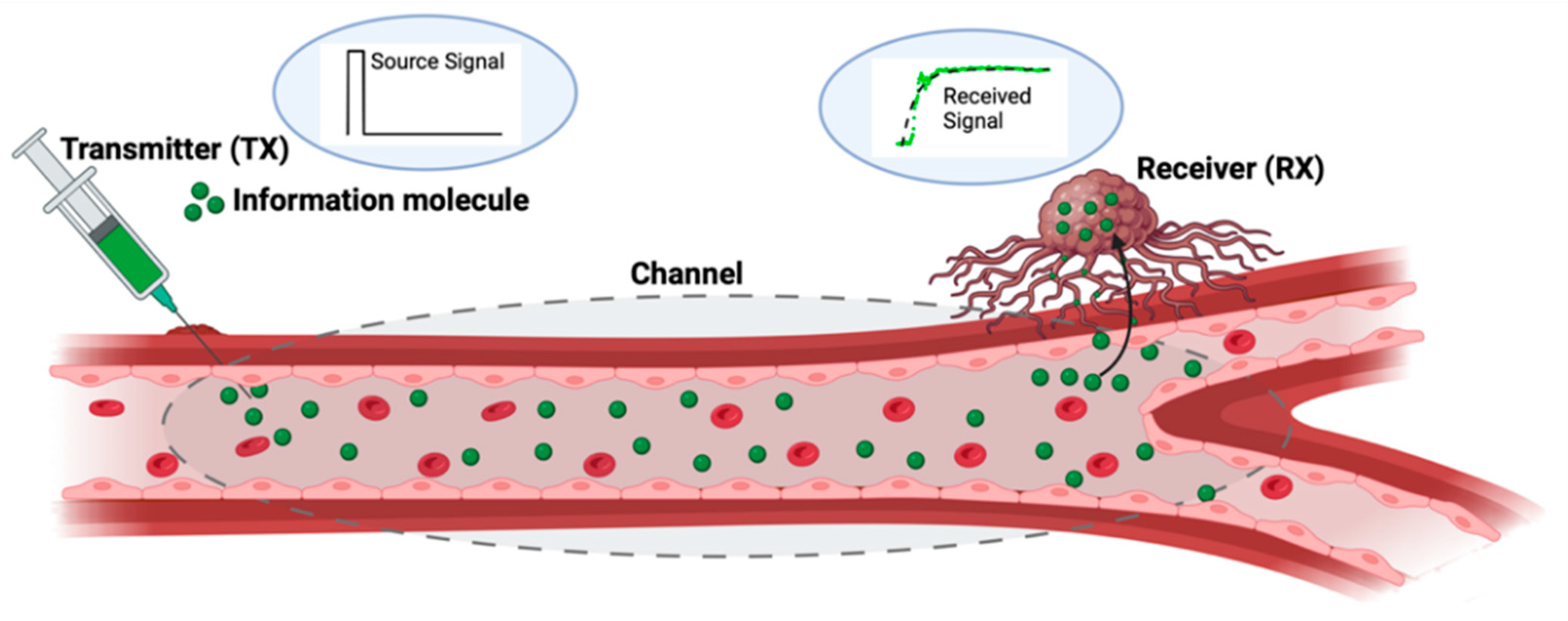 Organoids 03 00001 g008