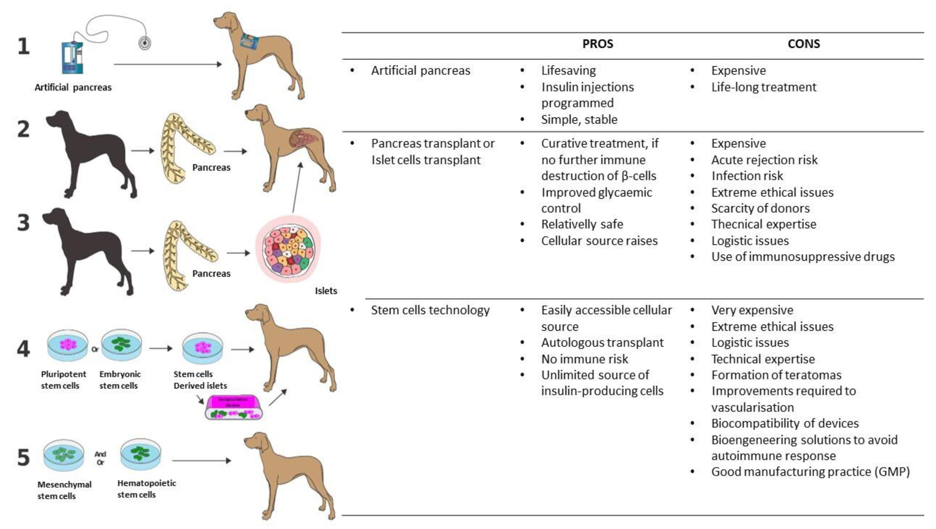Organoids 03 00006 g003