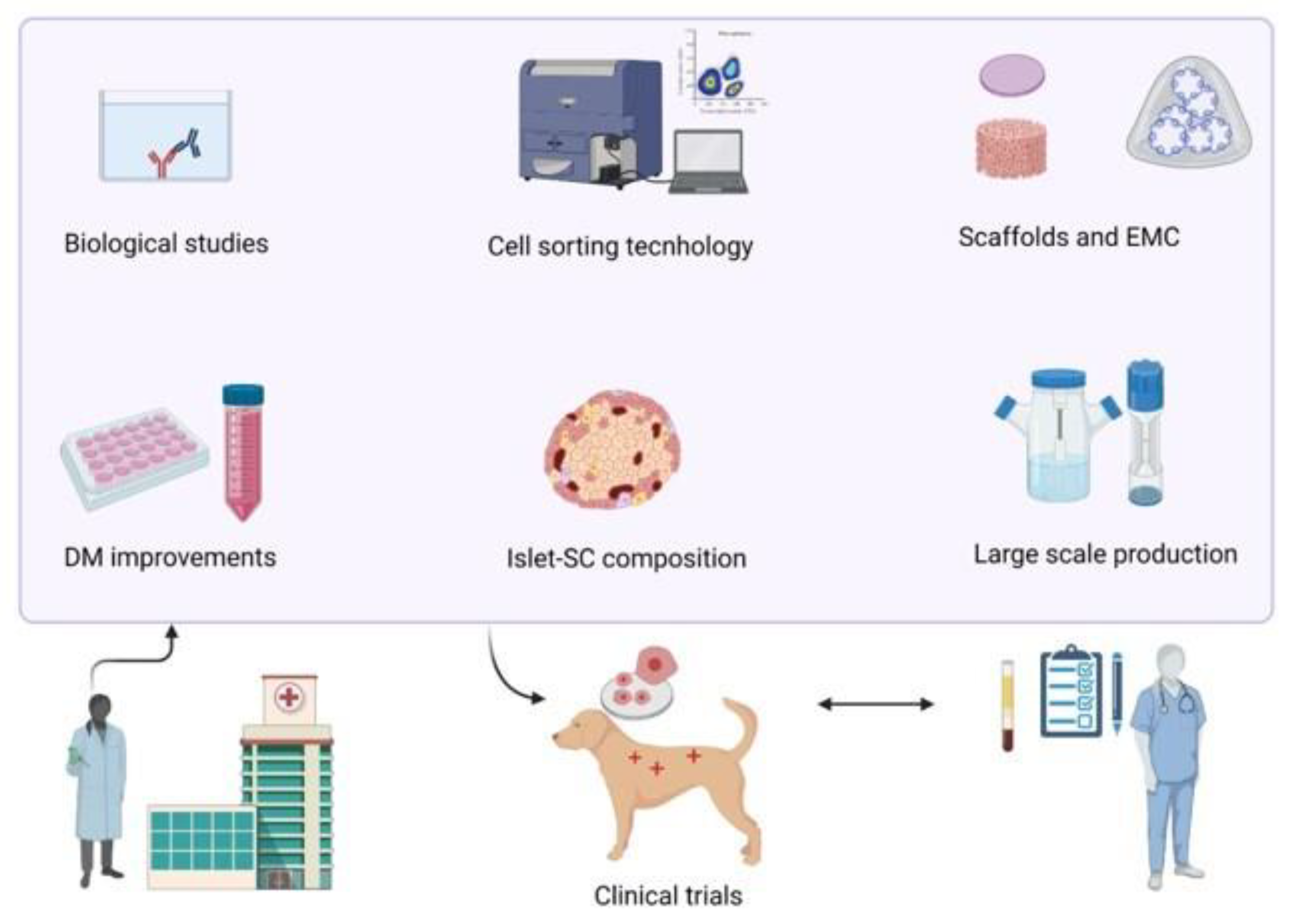 Organoids 03 00006 g004