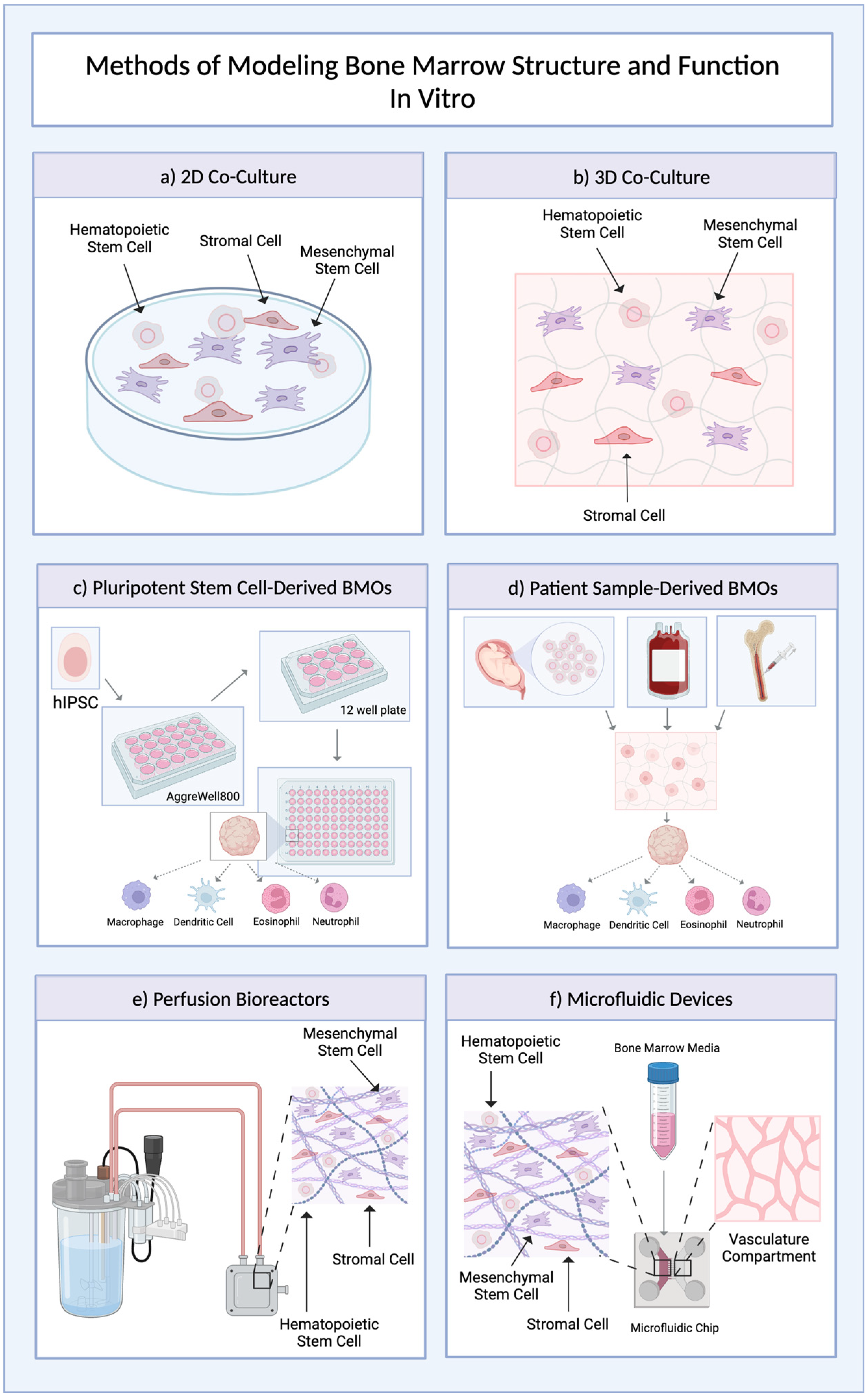 Organoids 04 00007 g003