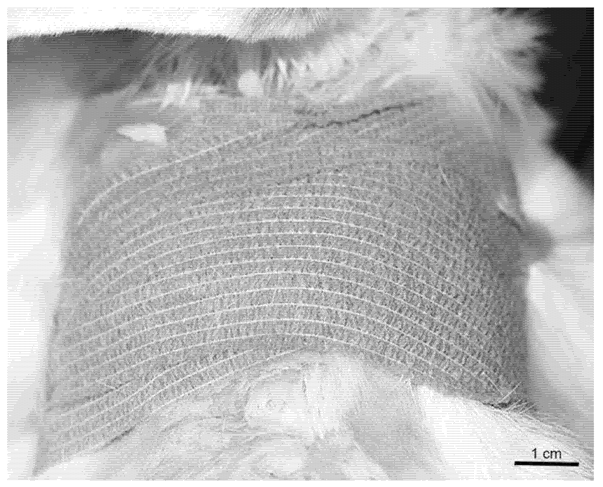 Osteology 01 00021 g003