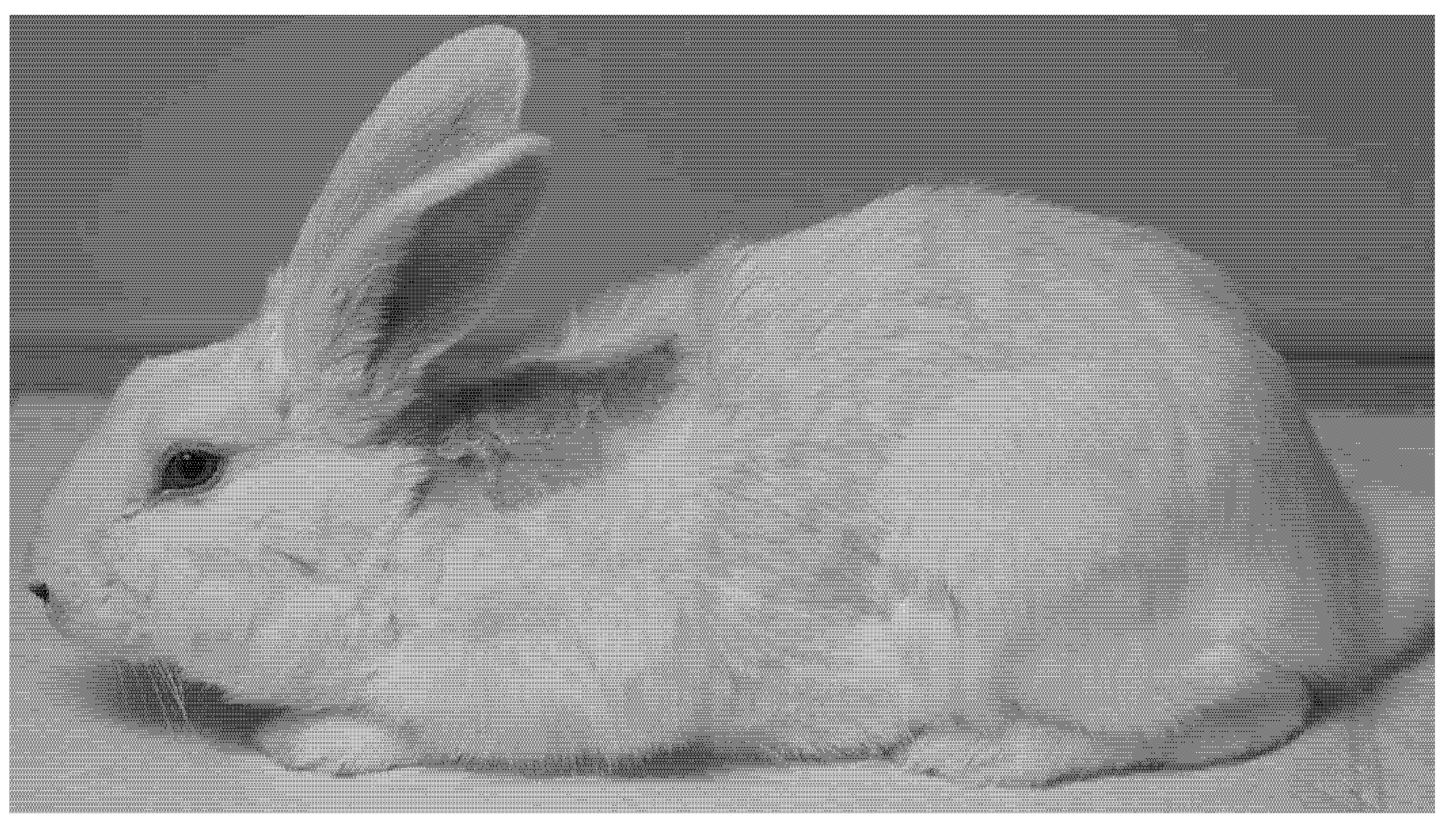 Osteology 01 00021 g005