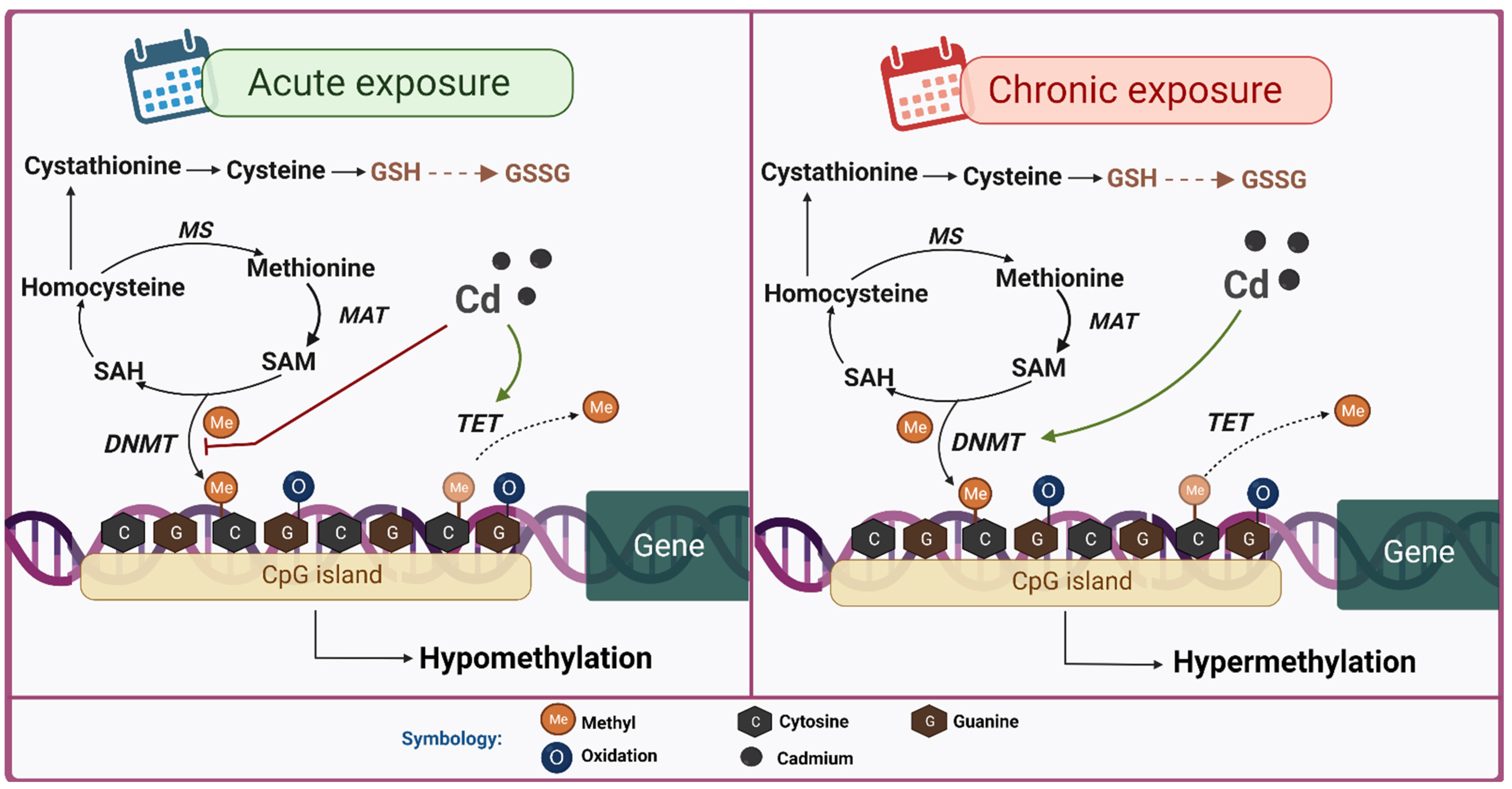 Oxygen 02 00015 g004