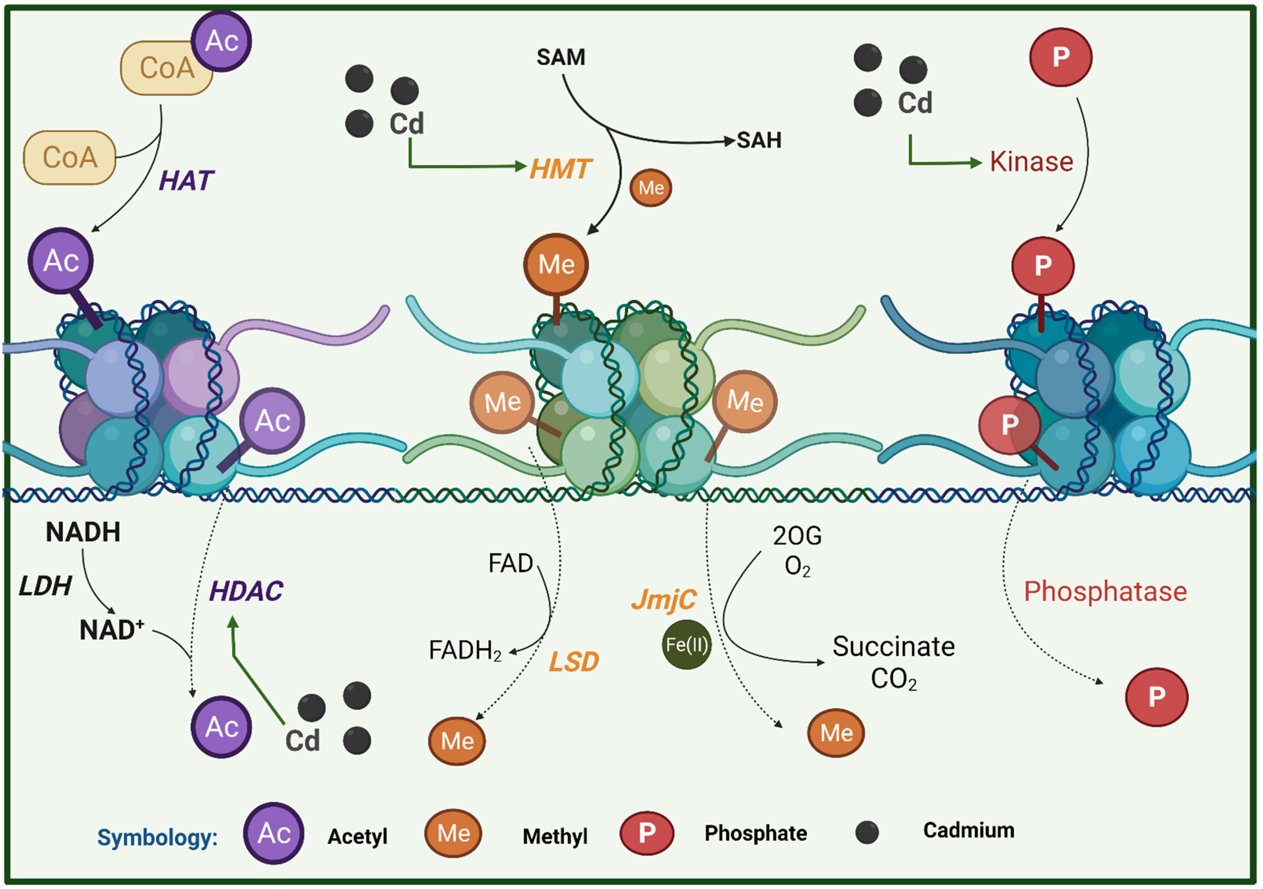 Oxygen 02 00015 g005