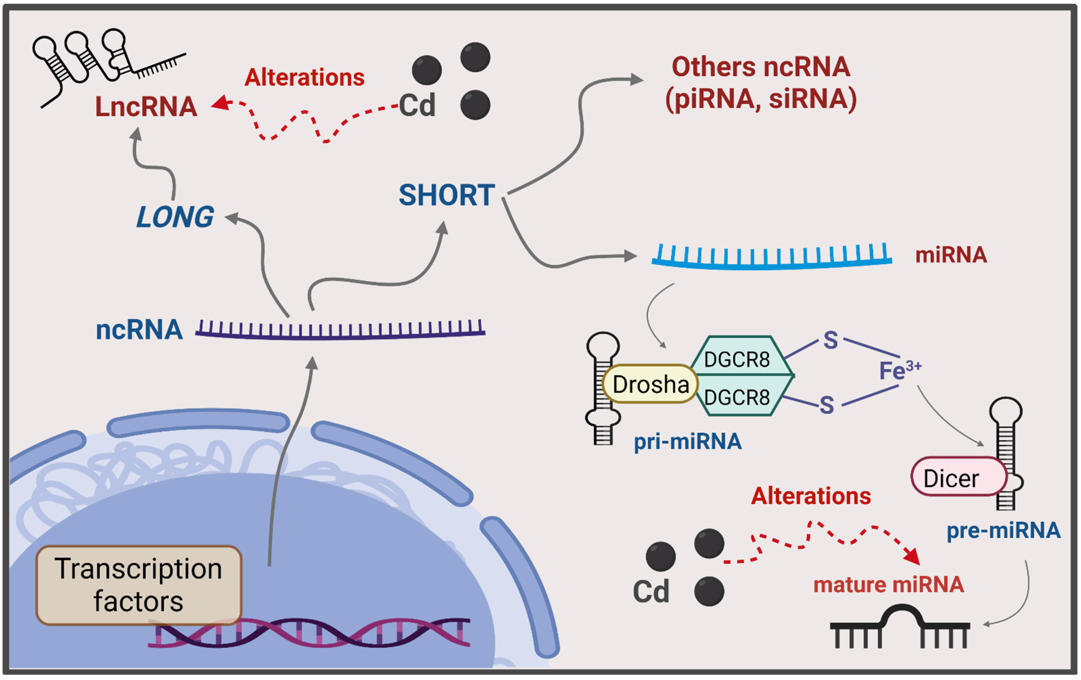 Oxygen 02 00015 g006