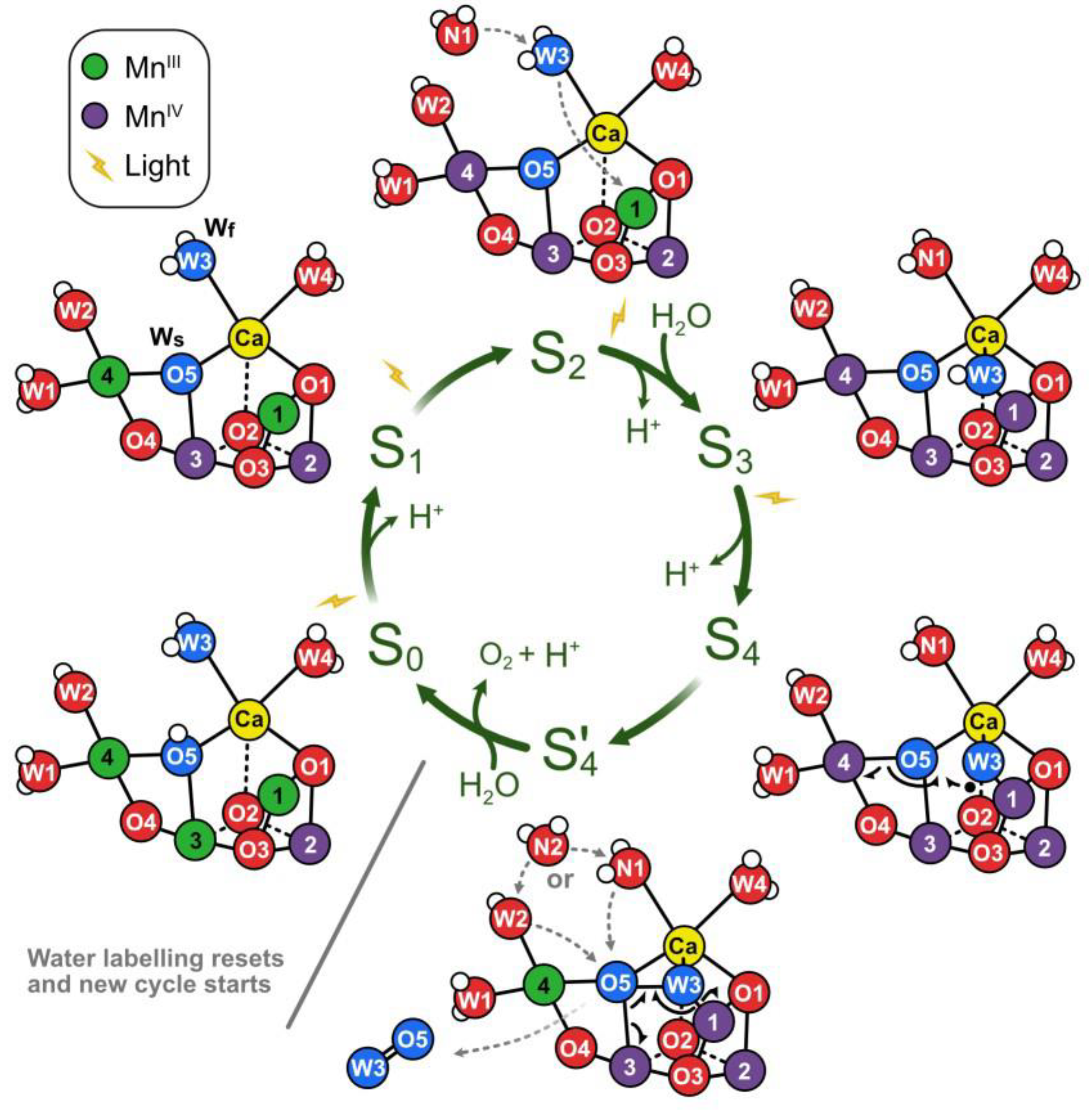 Oxygen 02 00024 g006